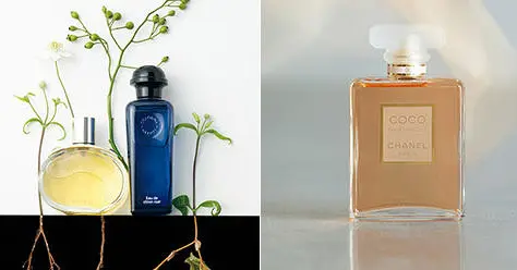 df4c4c806892e1419e8faae19b8005