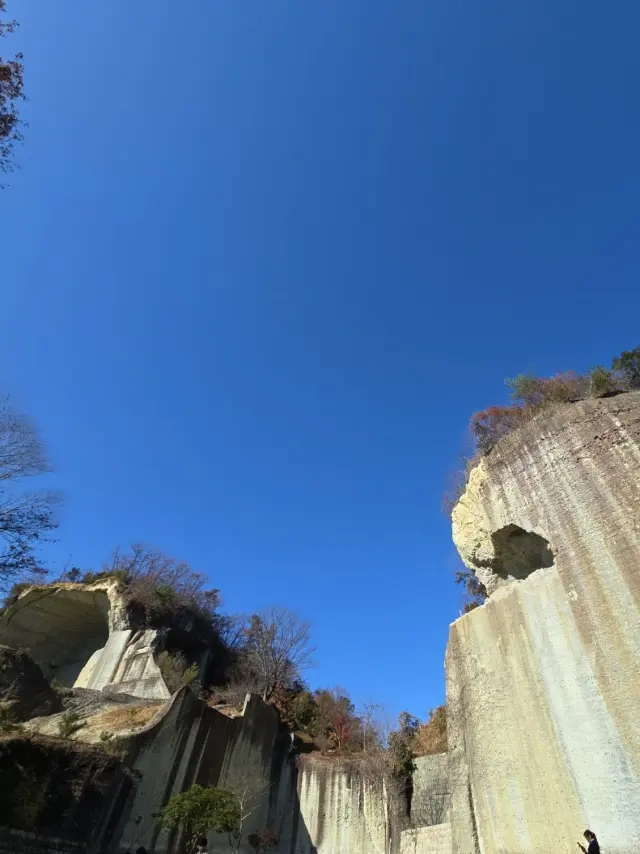 晩秋の日光・宇都宮旅 後編 餃子と大谷石と栃木みやげ_1_10