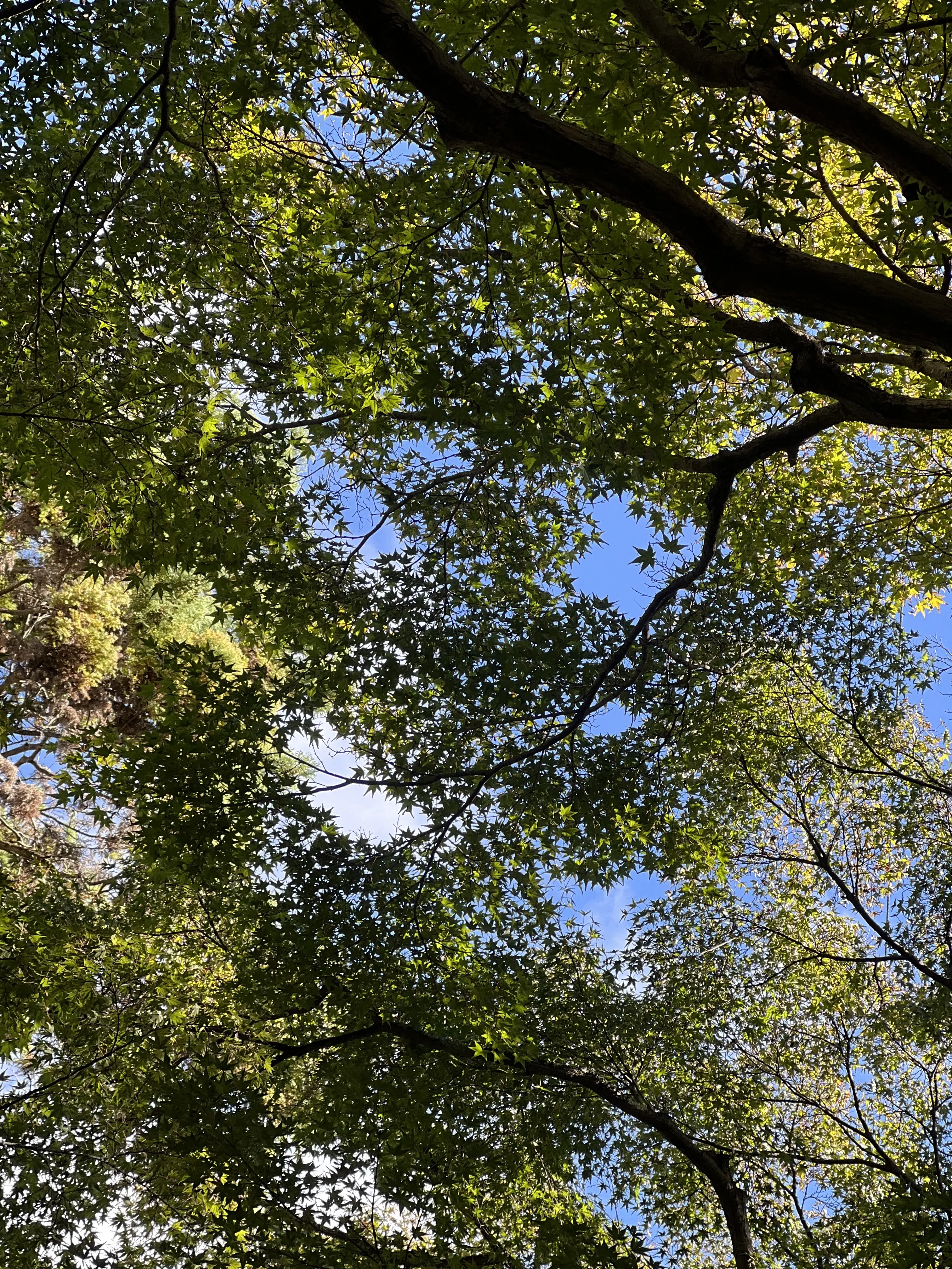 京都南禅寺