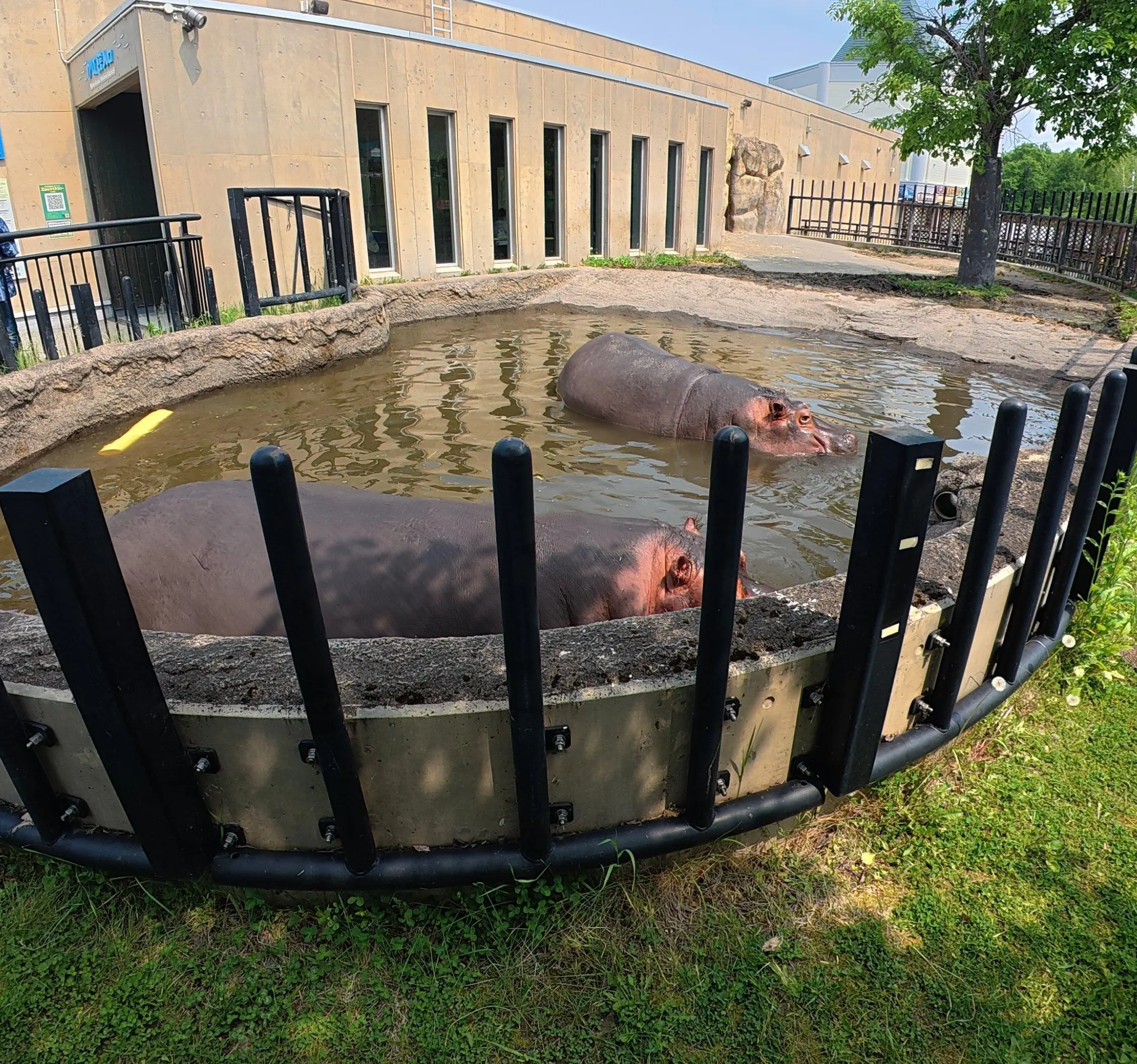 念願だった北海道旭川市「旭山動物園」行ってきました～♪_1_4