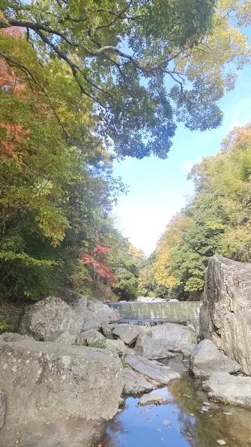 UNIQLO感謝祭戦利品とお気に入りスニーカーを身に付け秋を堪能@摂津峡_1_3