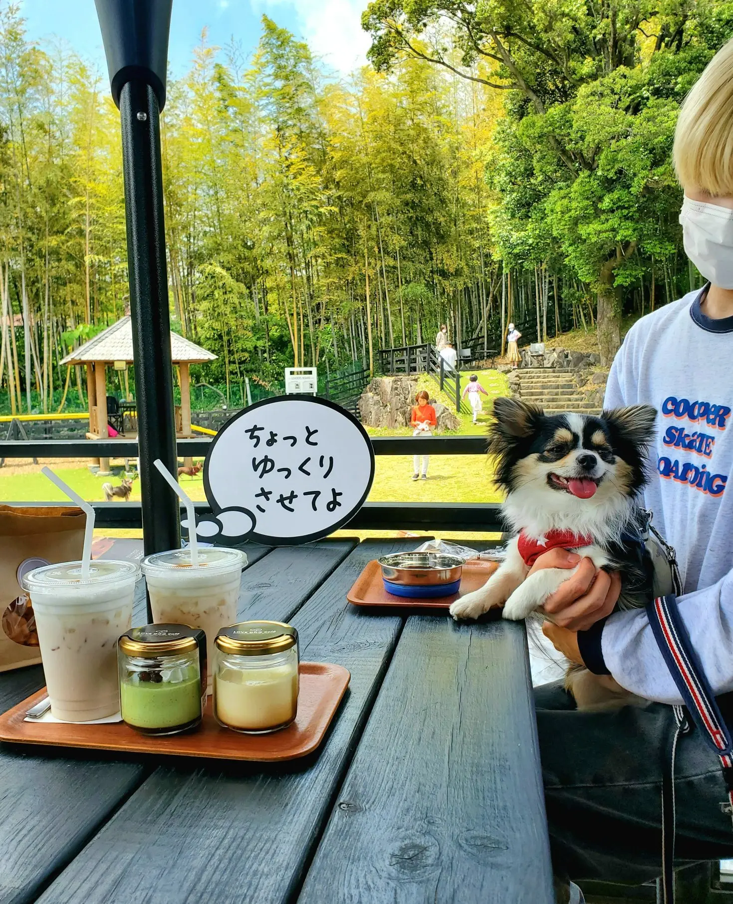 近くのわんこパラダイス“愛犬の駅”ラブドッグカフェ