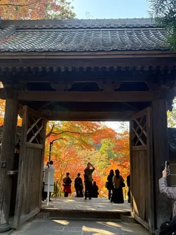 想像以上の絶景に出会えた神奈川の紅葉の見どころ〜北鎌倉・鎌倉編〜_1_4