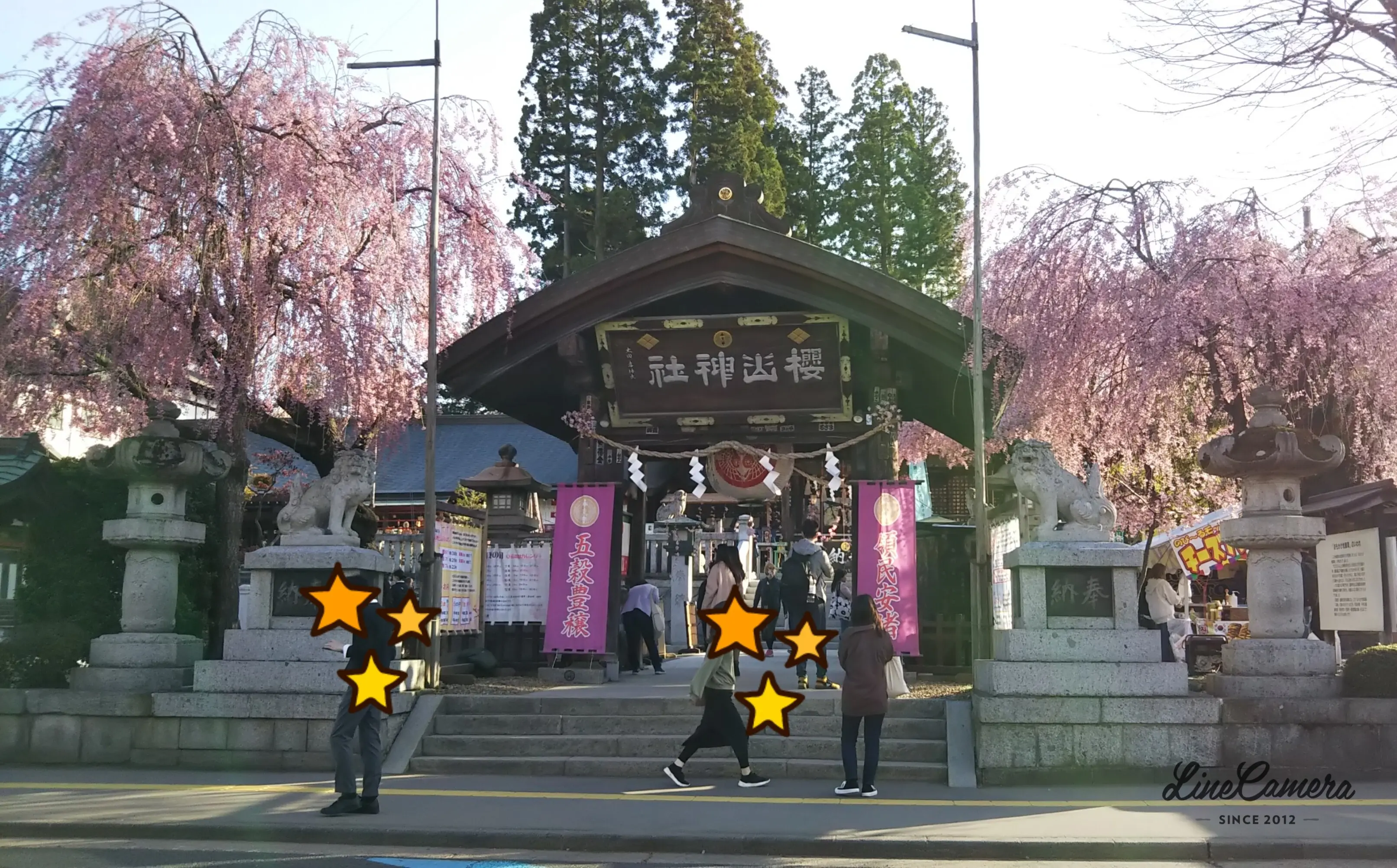 櫻山神社の桜