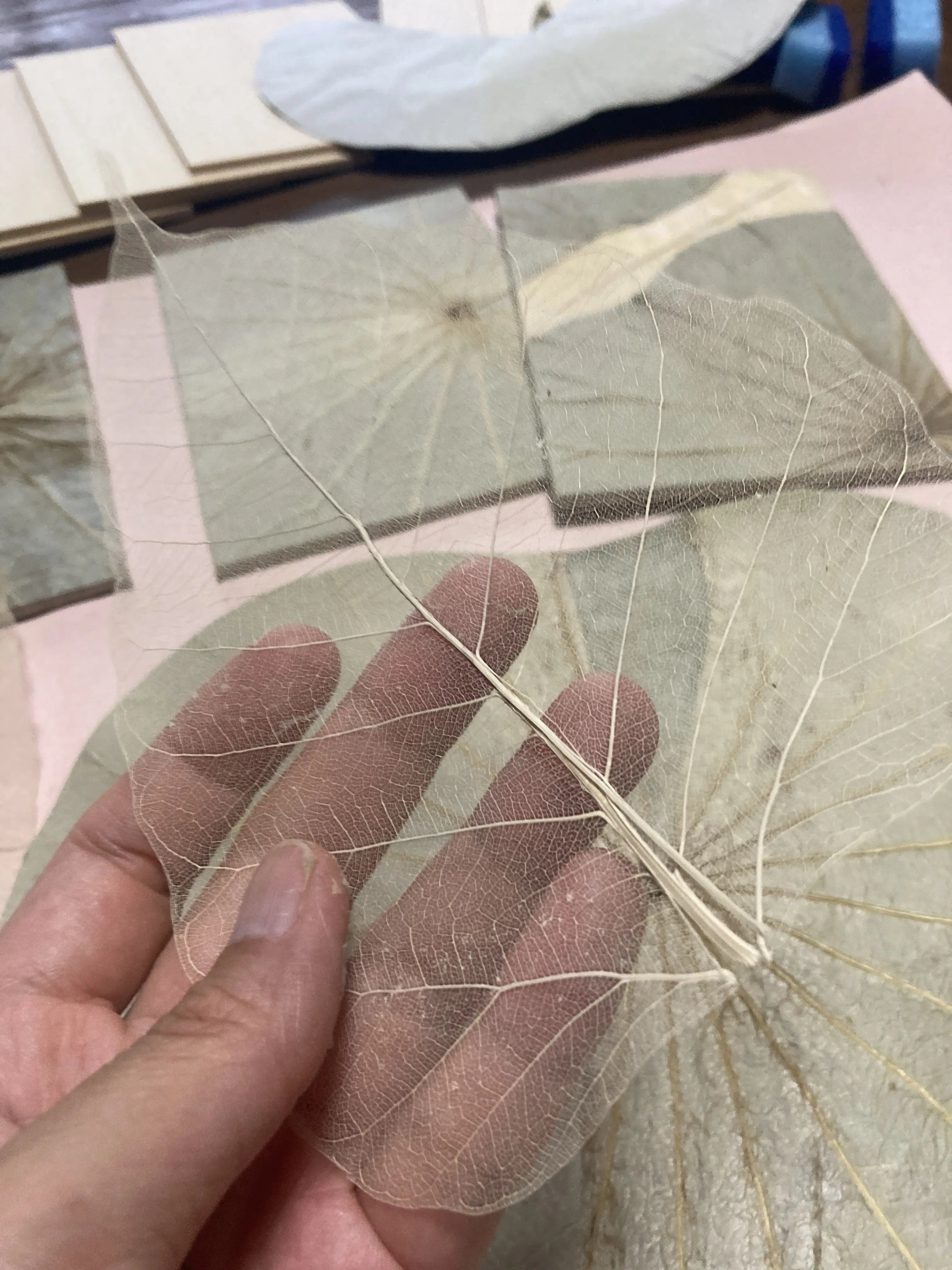 京都同時代ギャラリーで作家デビューしました。_1_2