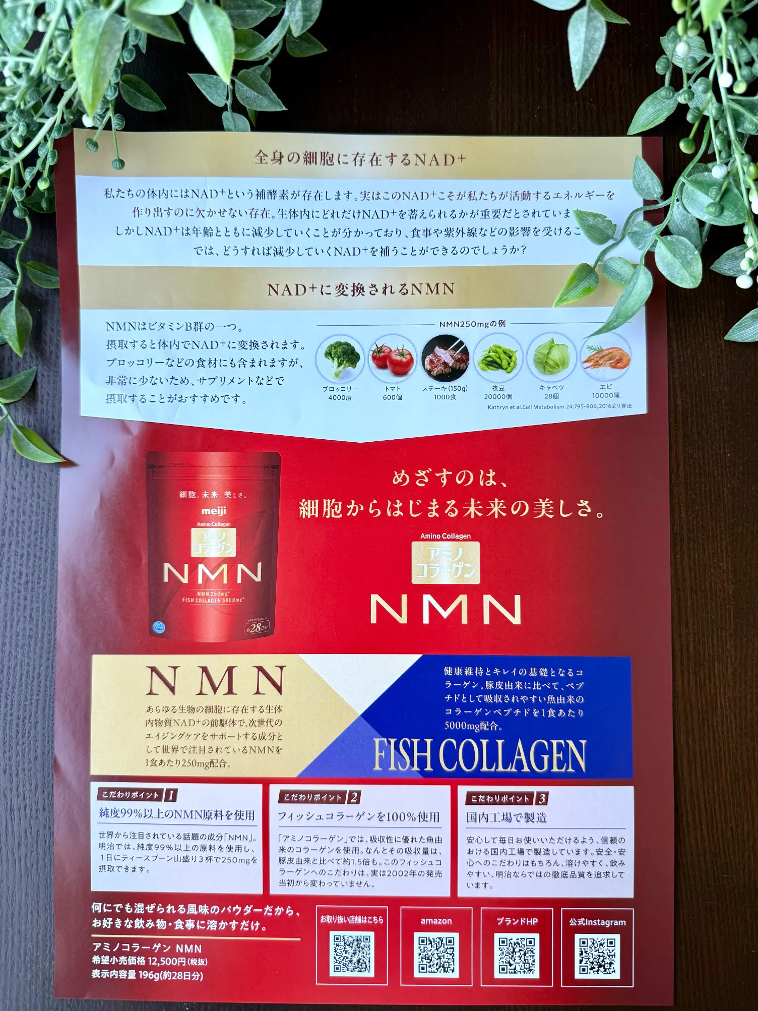 ブラックコーディネートでソワレ・ドゥ・エクラ 2025へ_1_34