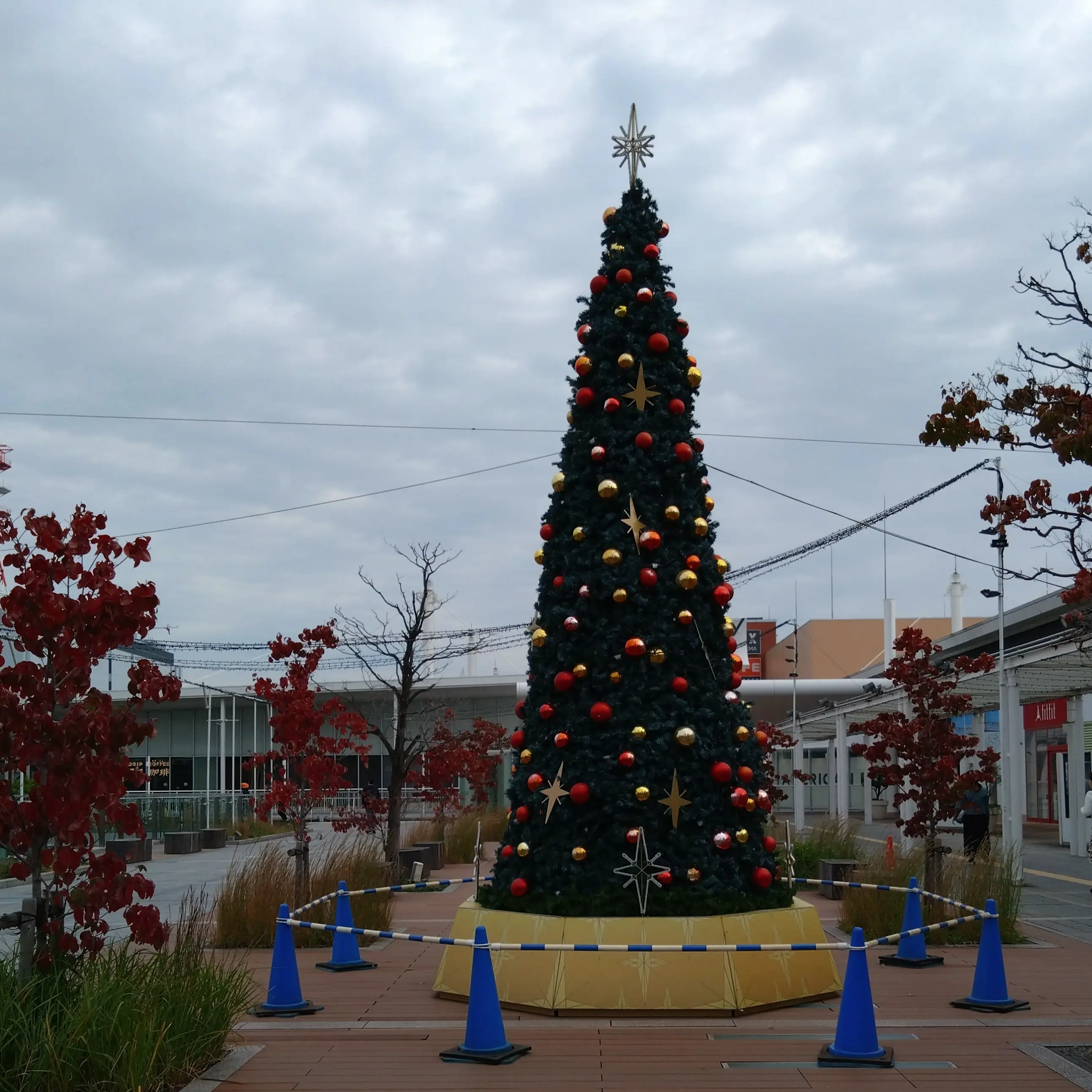 クリスマスツリー