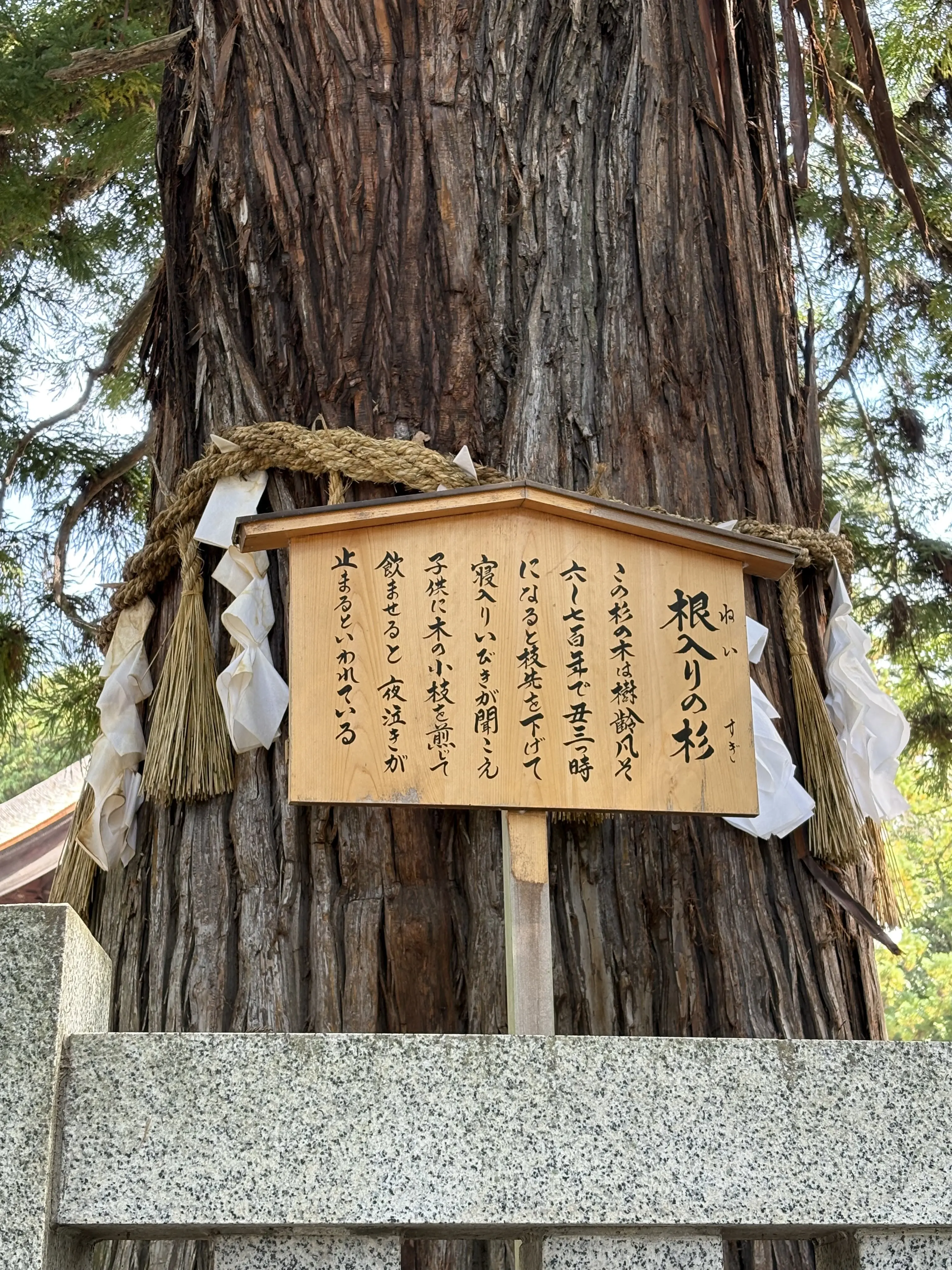 長野旅　諏訪湖　諏訪大社　下社秋宮