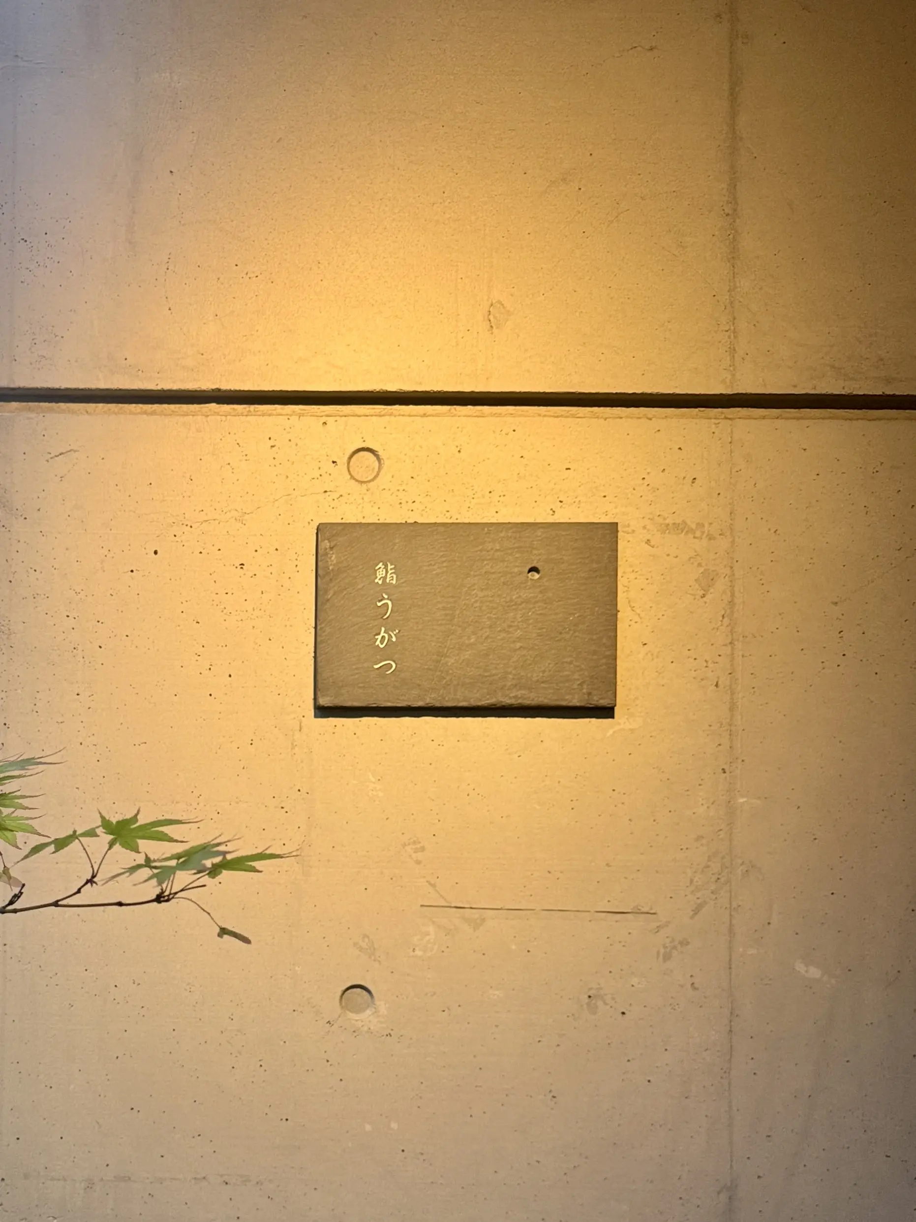 住宅街にある隠れ家的なお鮨屋さんで至福のひと時。。。_1_14