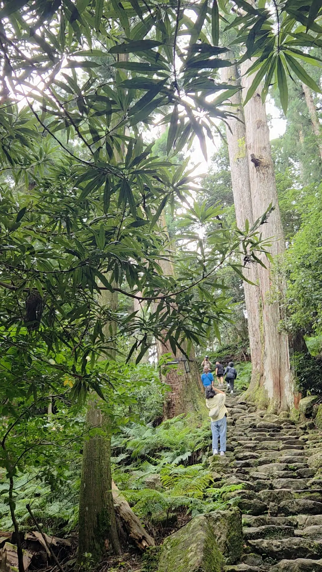 和歌山2泊3日　熊野古道にふれる世界遺産の旅①_1_3-2