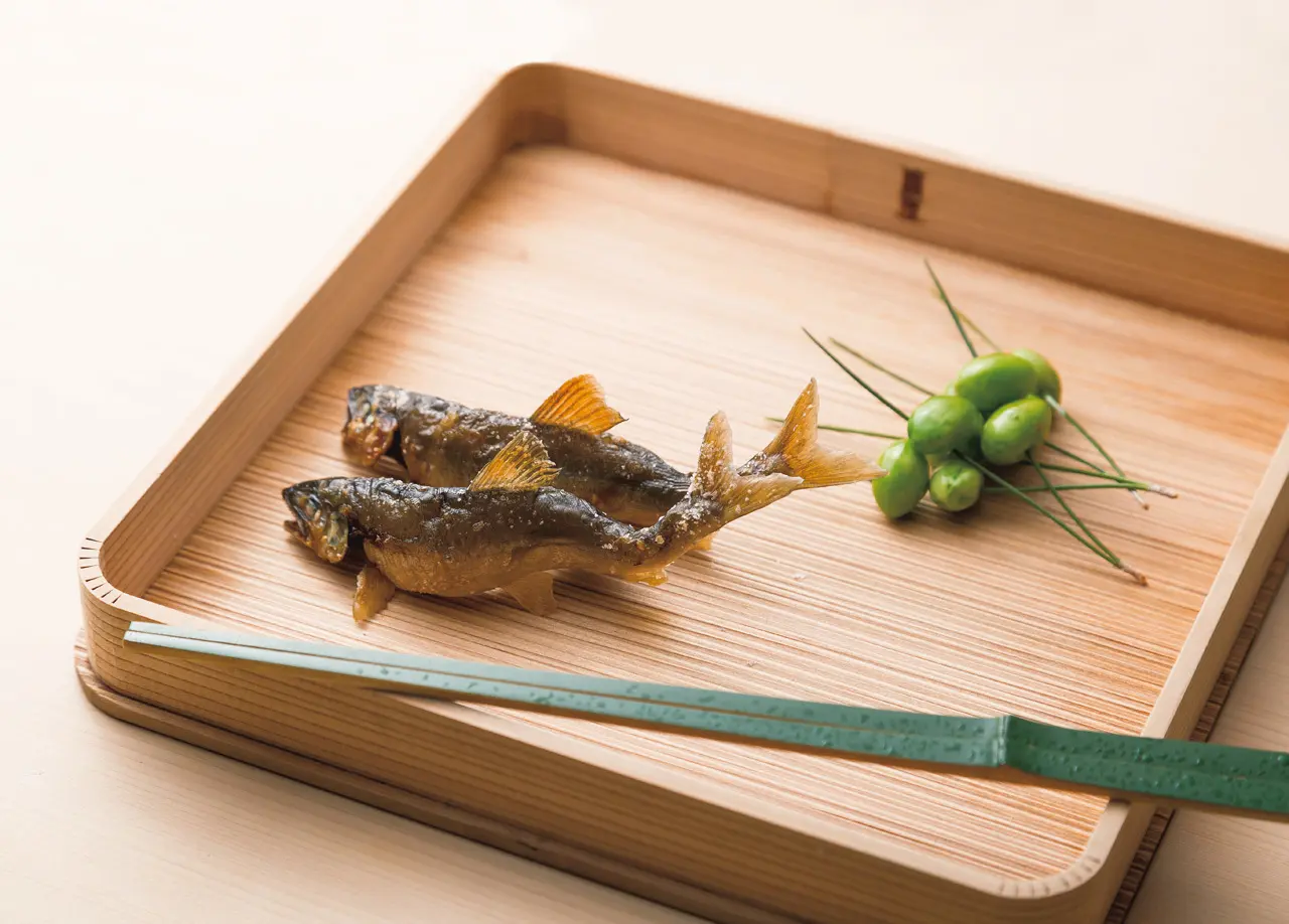 茶懐石から寿司まで 密度の高い和食を味わう　富小路 やま岸_1_1