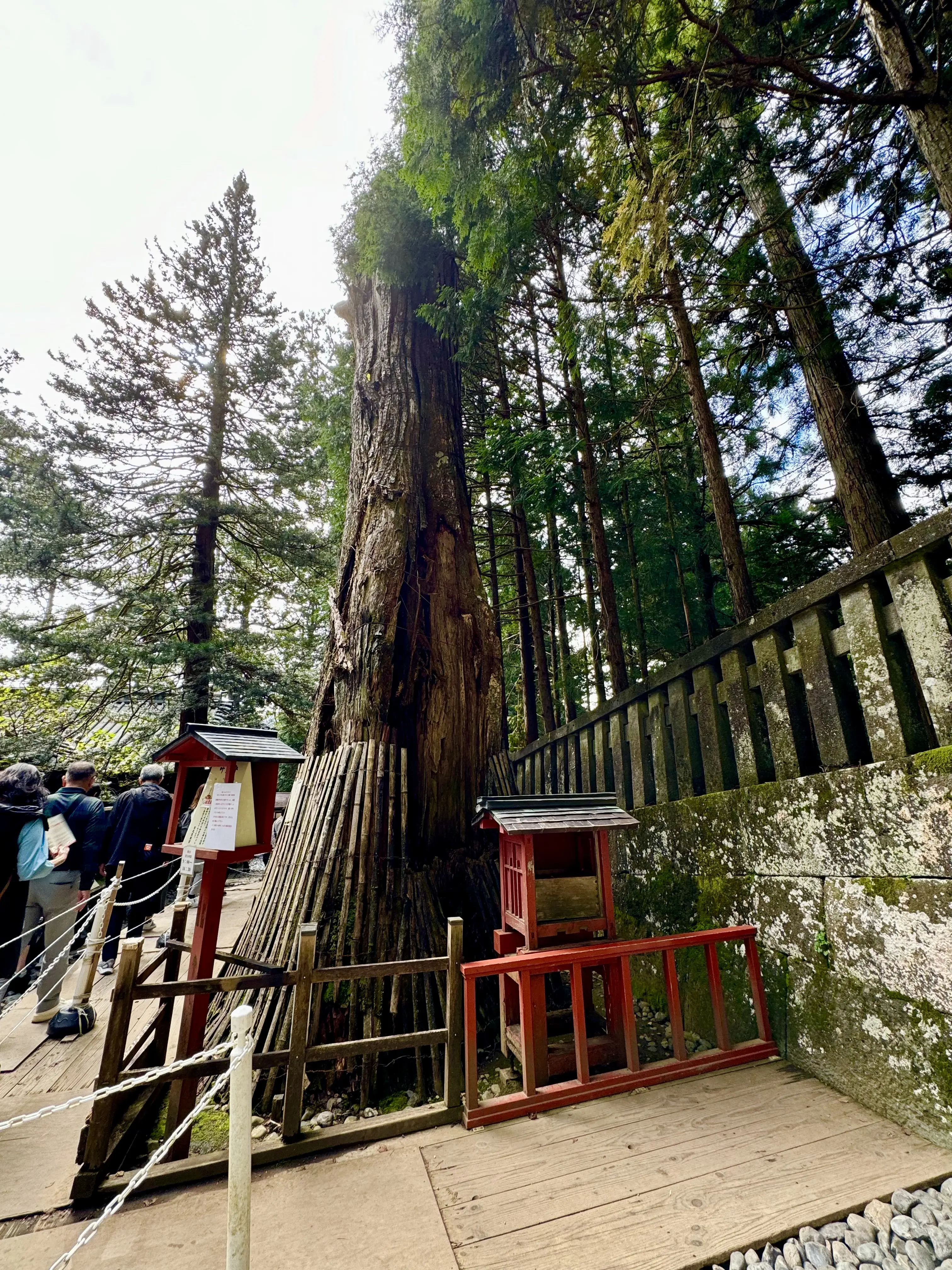 日光金谷ホテル☆１泊２日秋の旅_1_31