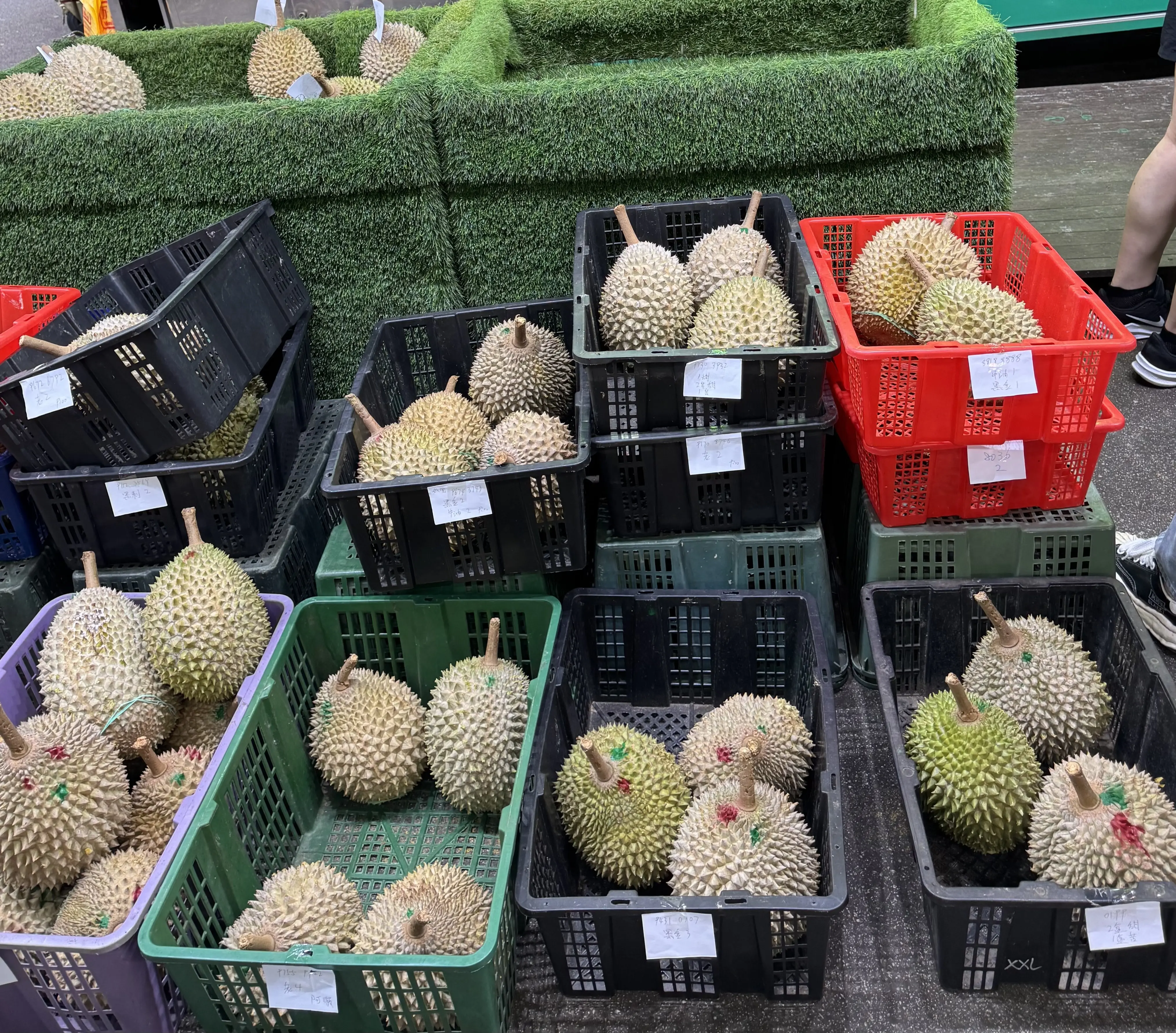 ドリアン