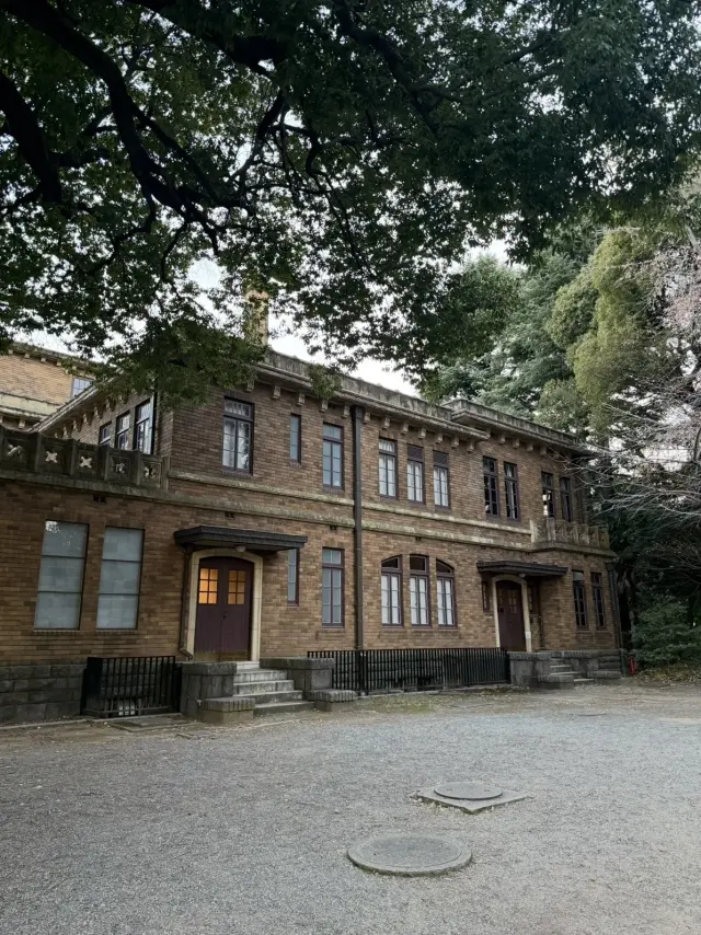 駒場公園の文壇カフェとイチョウ舞い散る銀杏並木_1_10