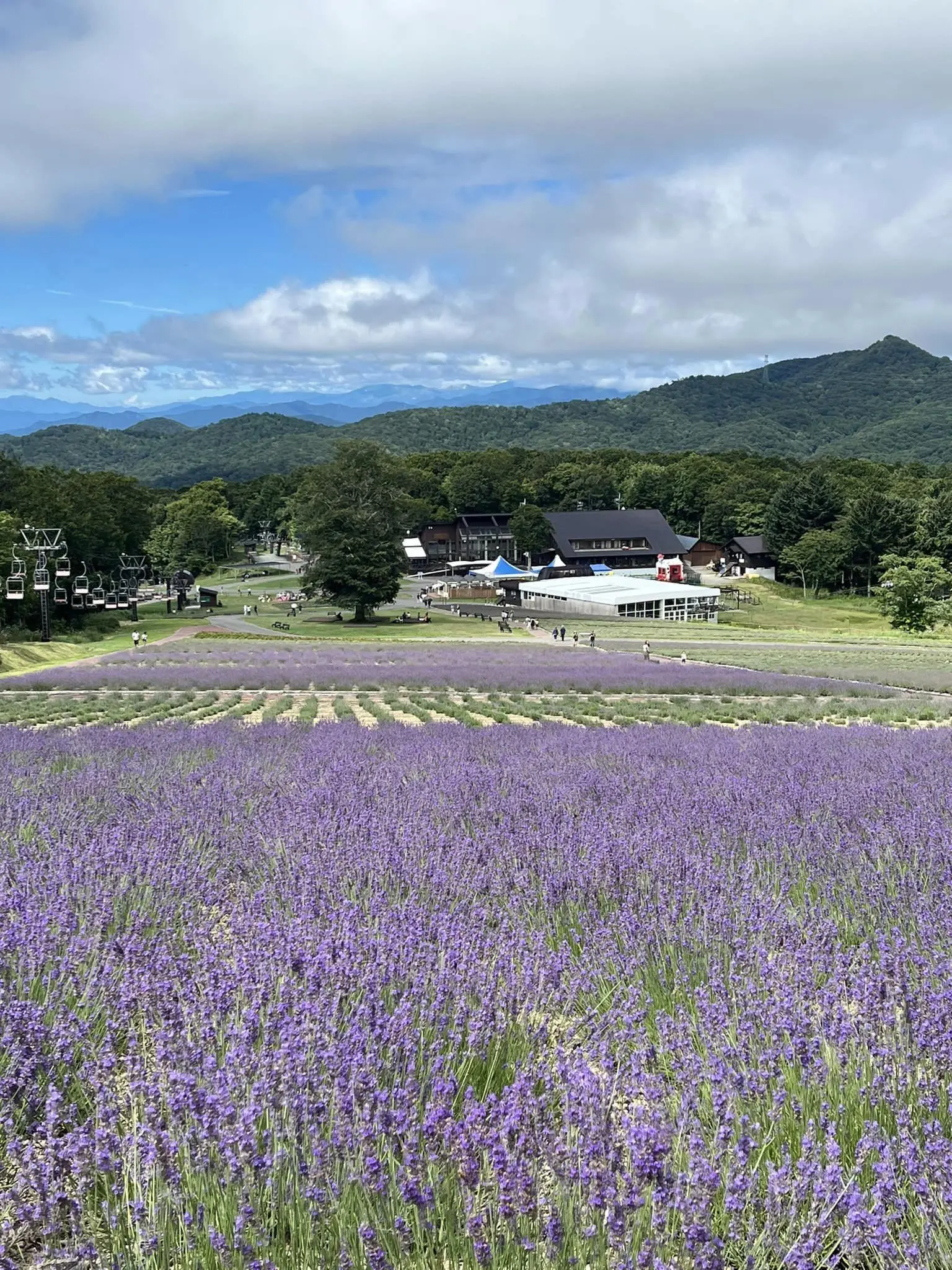 ラベンダーパークと滝。自然満喫のの夏の群馬ドライブ。_1_8-1