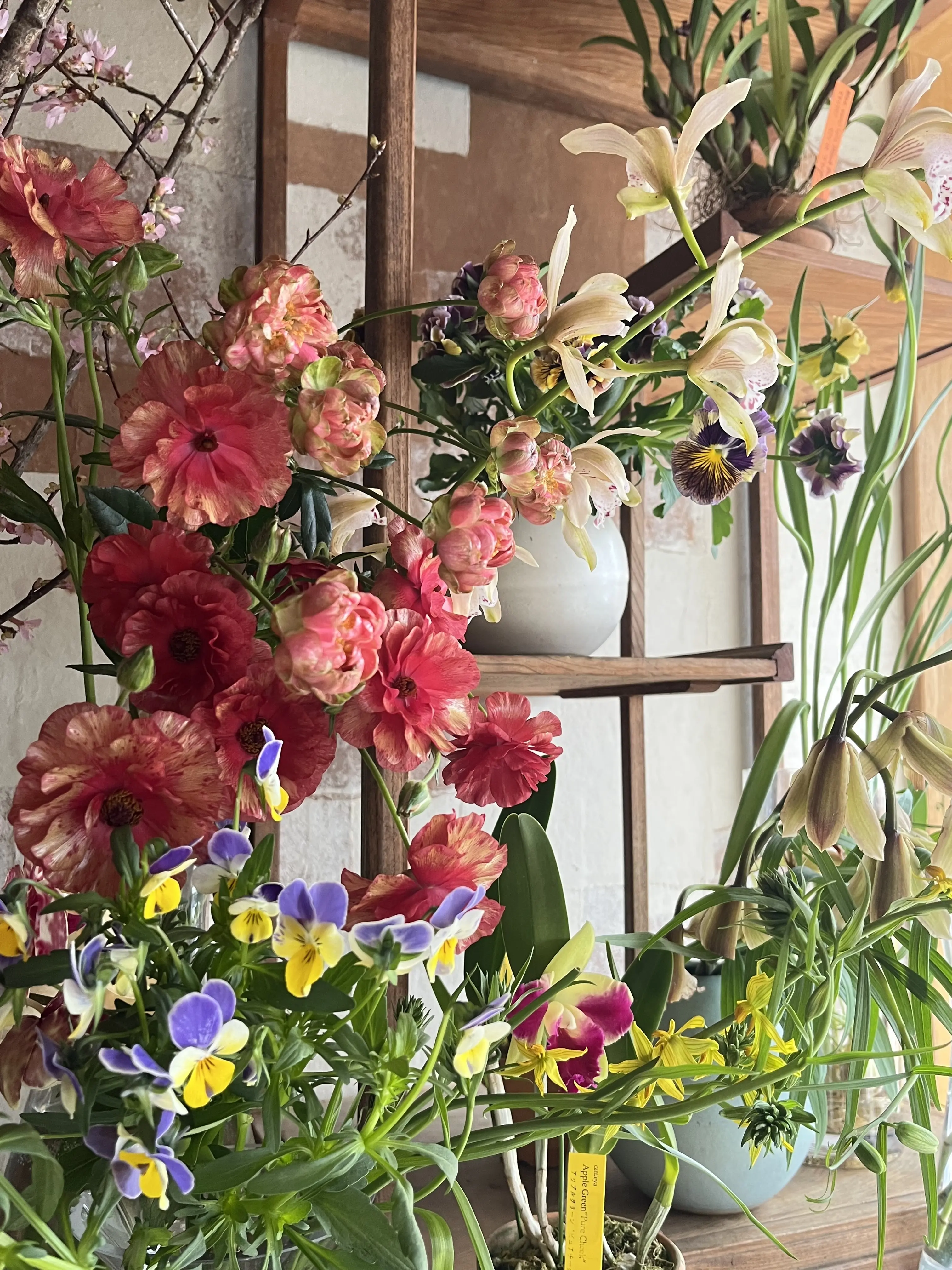 花屋で写真館_1_4