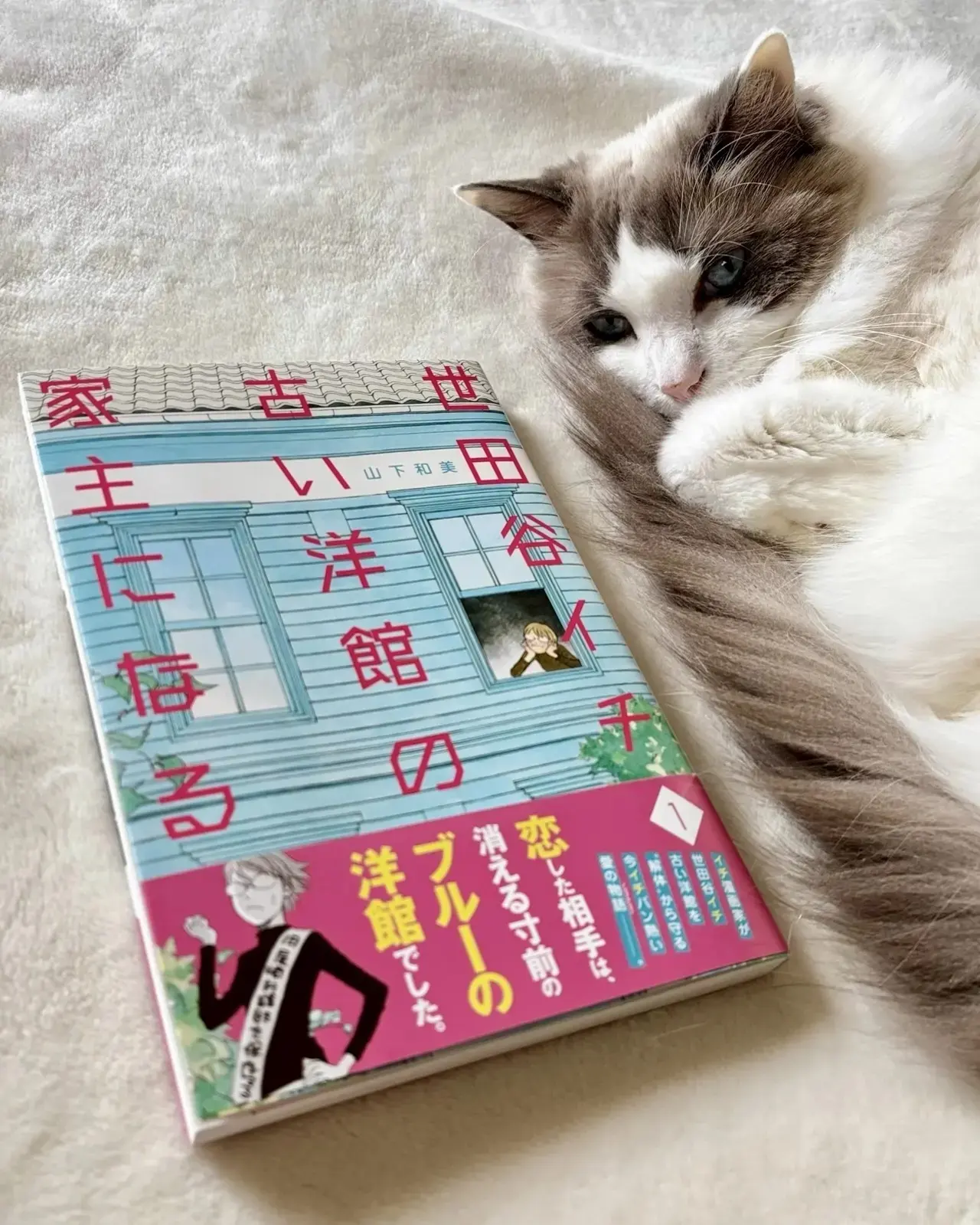 世田谷イチ古い洋館の家主になる