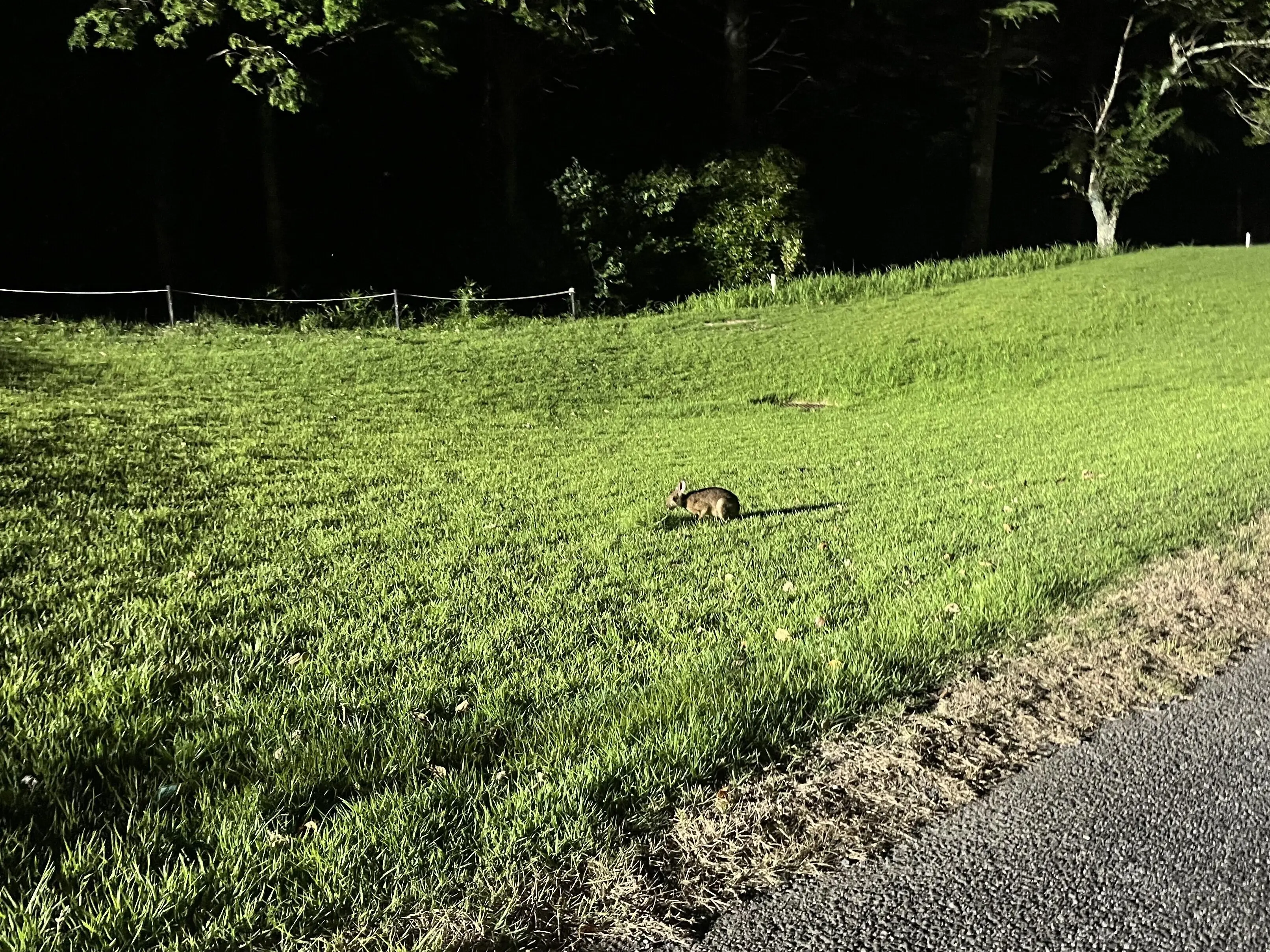 【千葉】高滝でトロッコに乗って、ナイターゴルフ_1_7