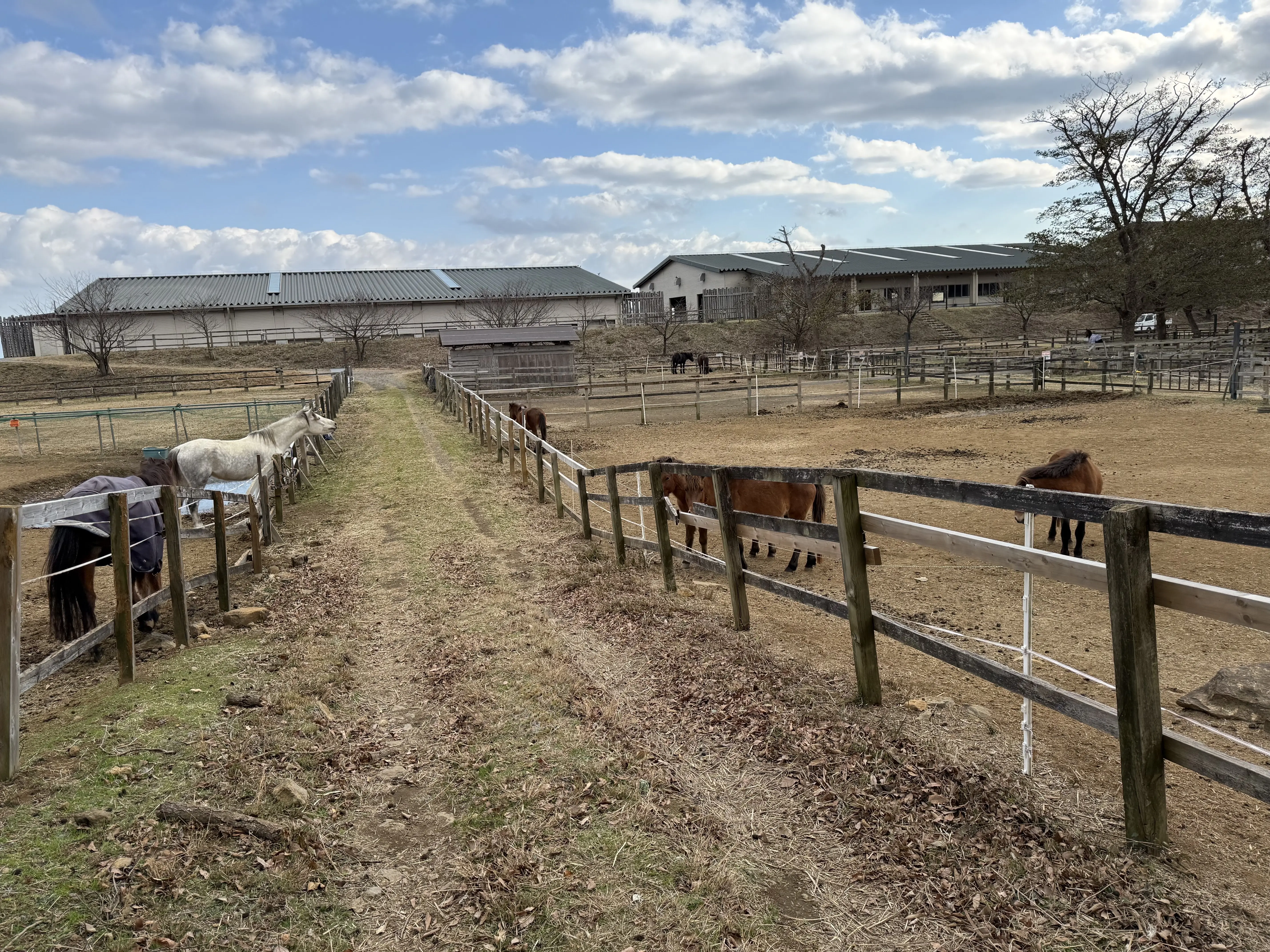 伊豆ホース・カントリー