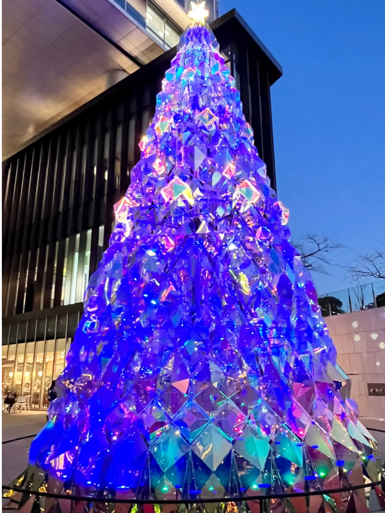 続・続・Jマダムメンバーとキラキラ観賞☆⭐︎☆_1_18