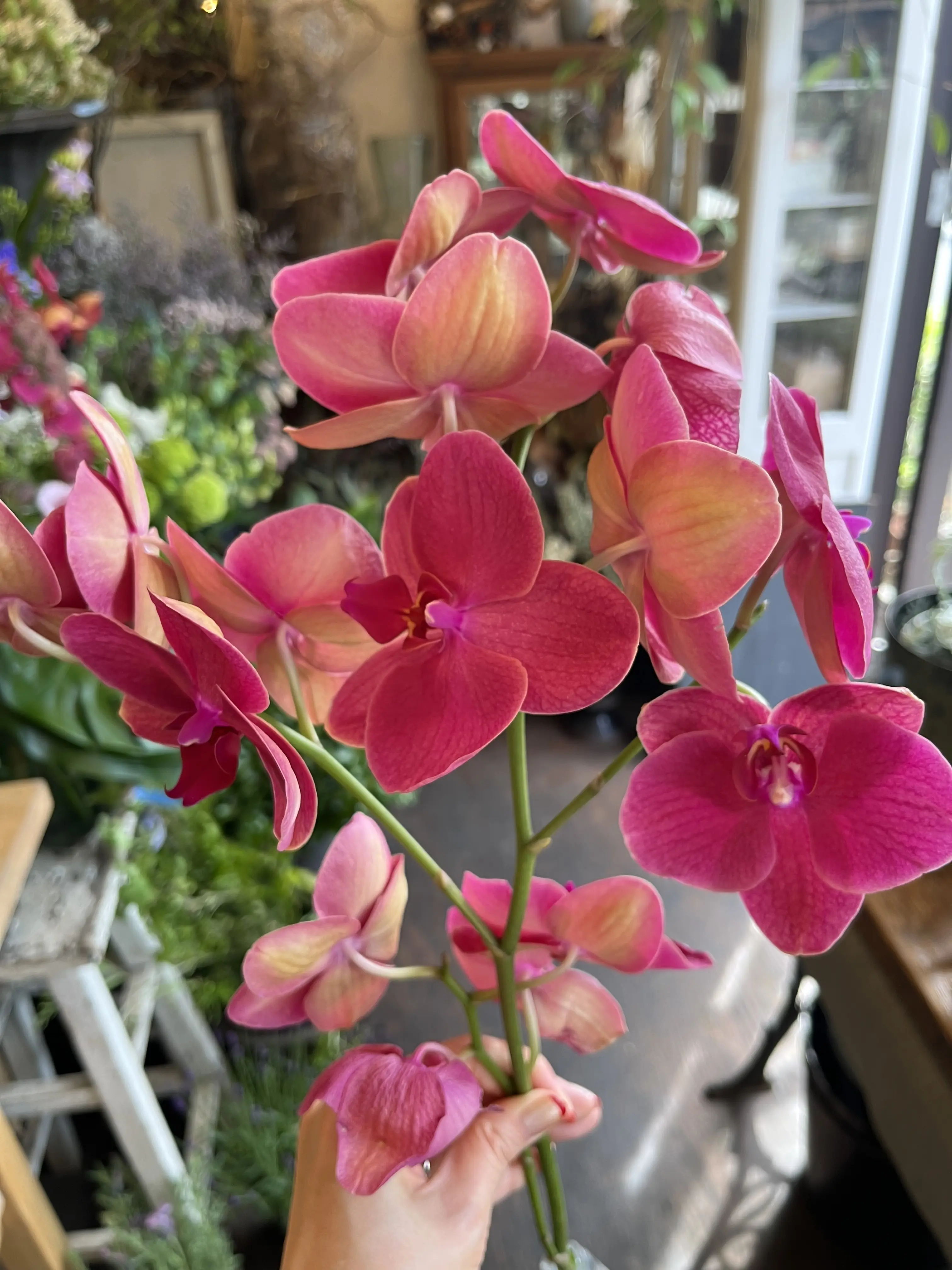 最近の〝花活〟_1_4