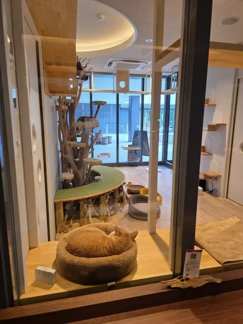 鎌田醤油のカフェでランチ_1_4