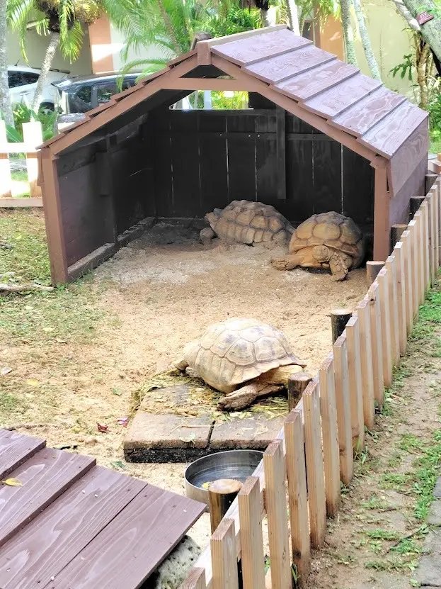 秋の沖縄週末旅① 癒やされ和むホテル編_1_11