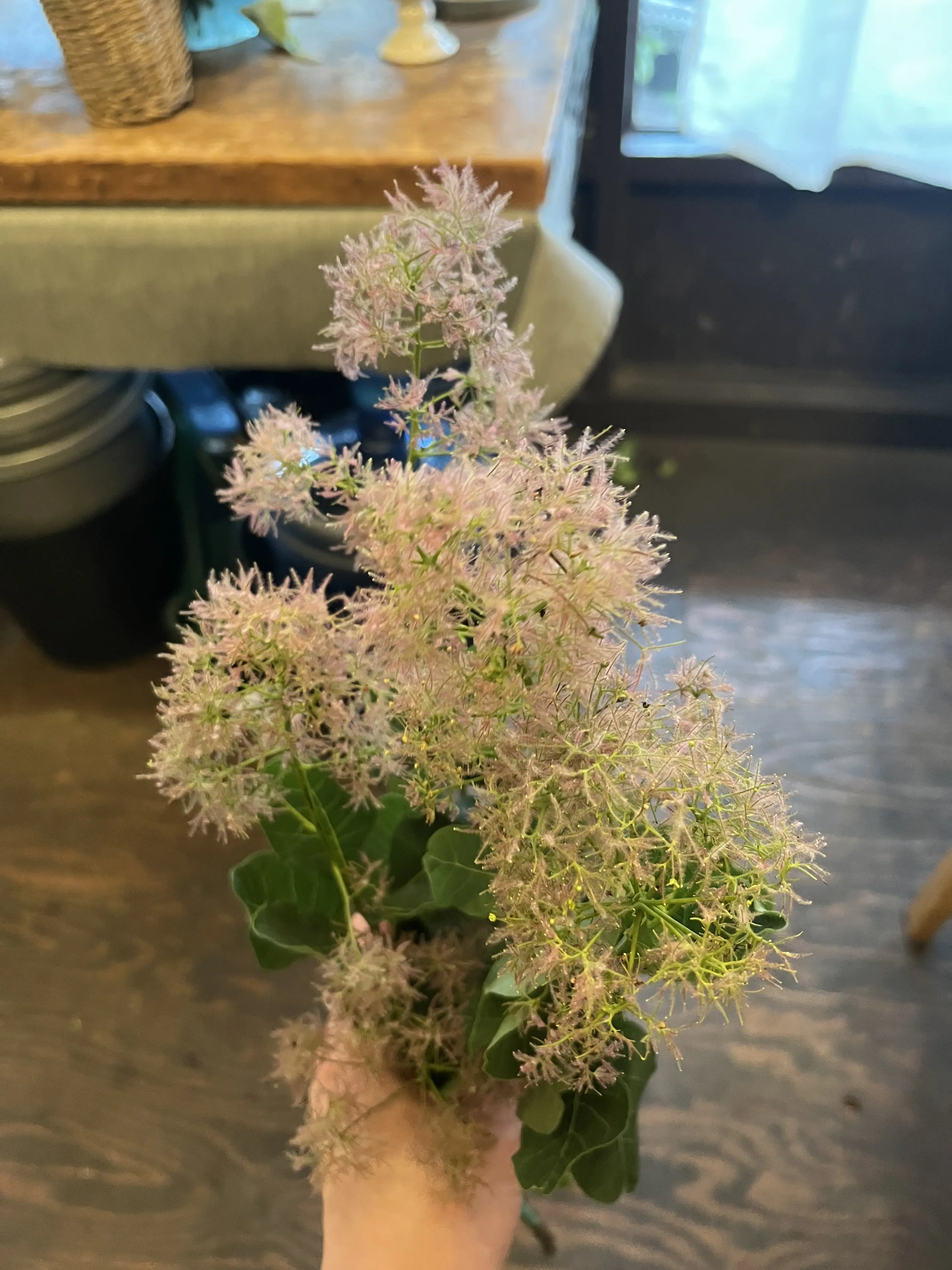 初めて選んだお花でブーケ_1_9