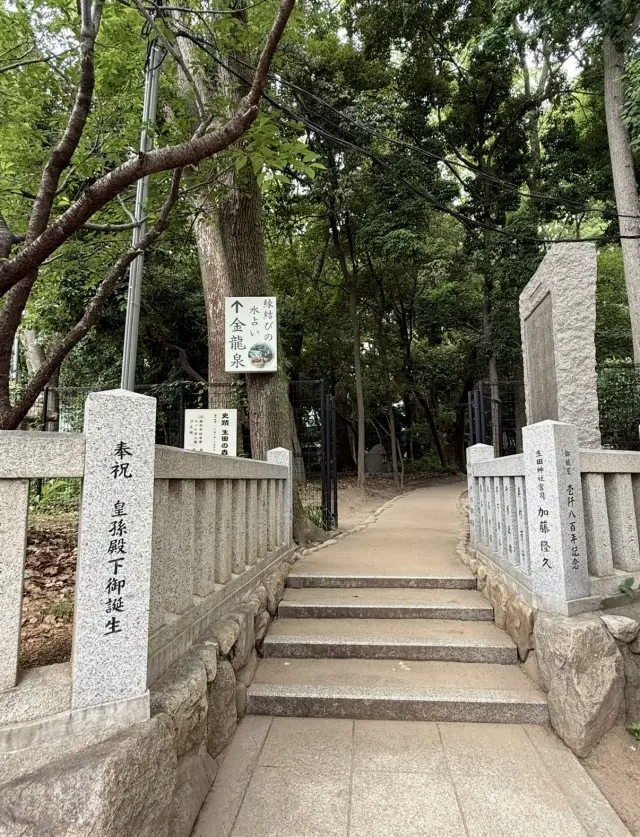 緑に染まる生田の森と赤に染まる生田神社。_1_3