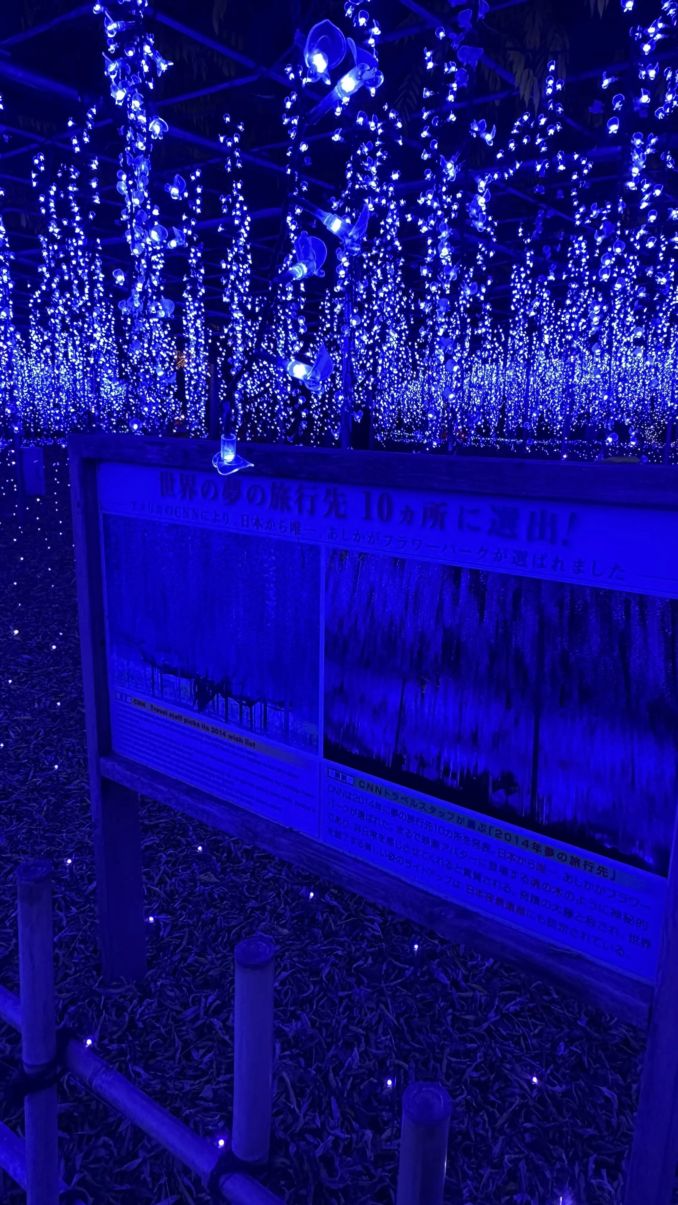 ため息が出るほど綺麗なあしかかフラワーパークへ_1_3-2