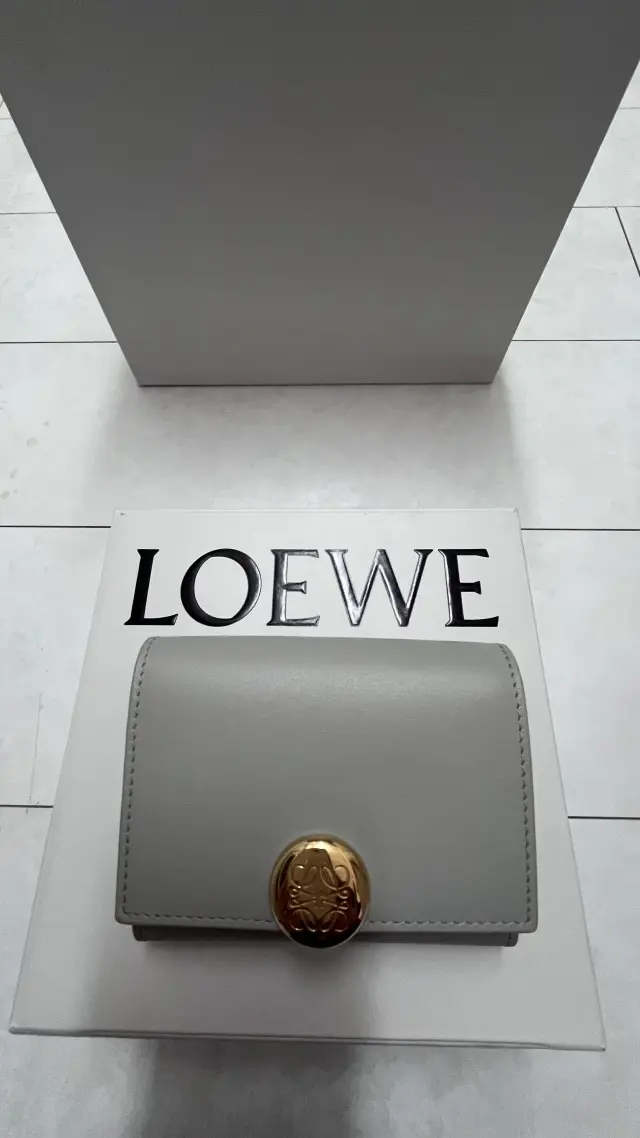 ロエベの気になるスモールウォレット_1_13