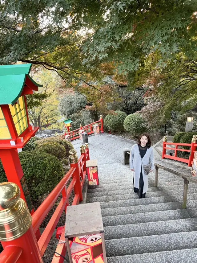 眺め最高！ご縁を結ぶ朱塗りの美しい足利織姫神社_1_3