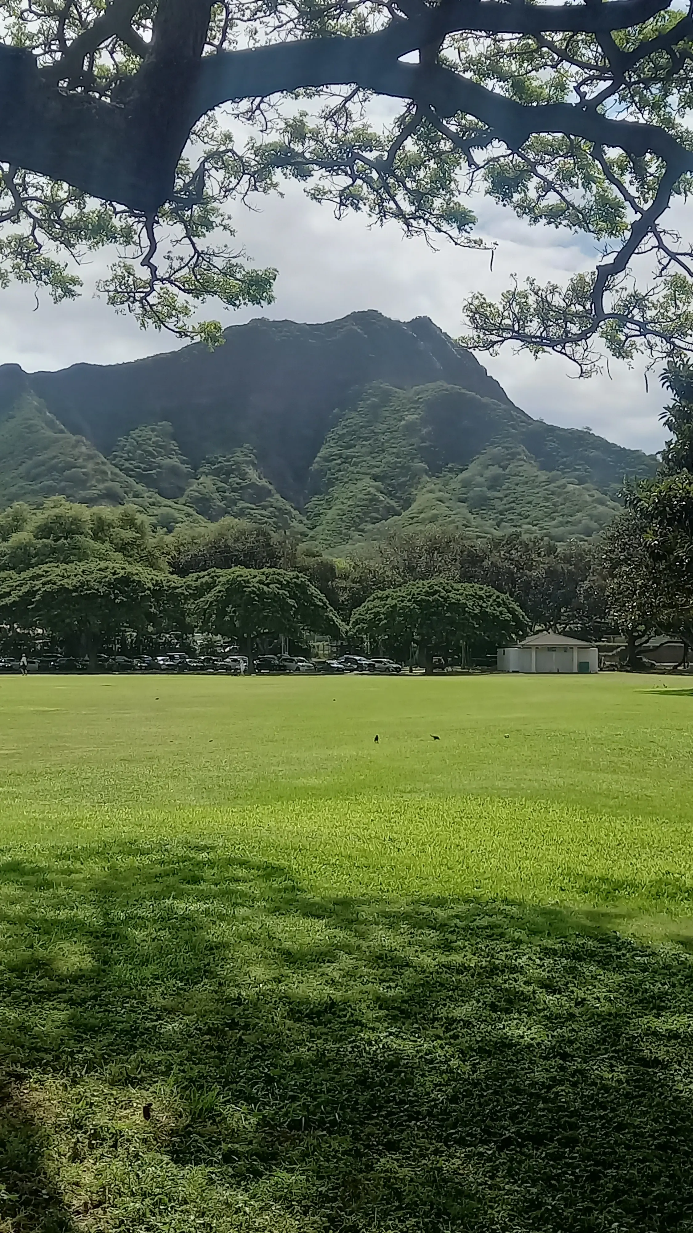 【Hawaii 2025】お出かけスポット色々♡山・海・お土産_1_7-1