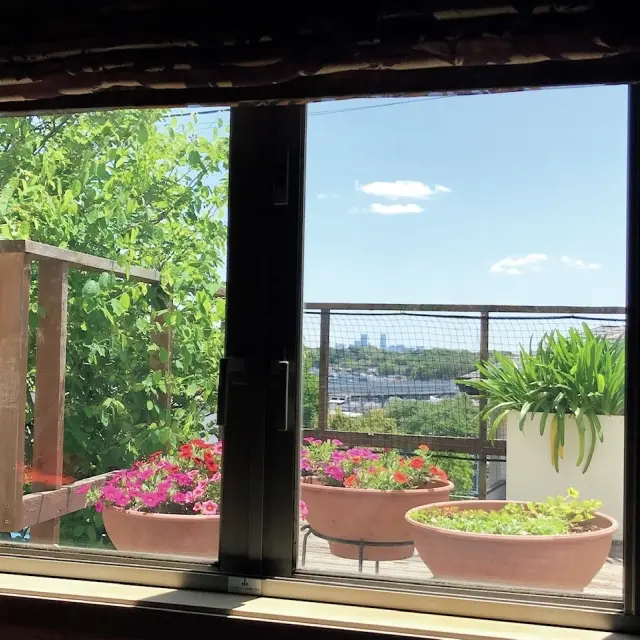 窓から見える高さに花やグリーンの鉢植えを