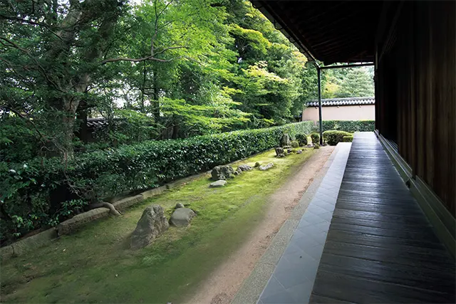 わび茶の祖とされる村田珠光作と伝わる「七五三の庭」