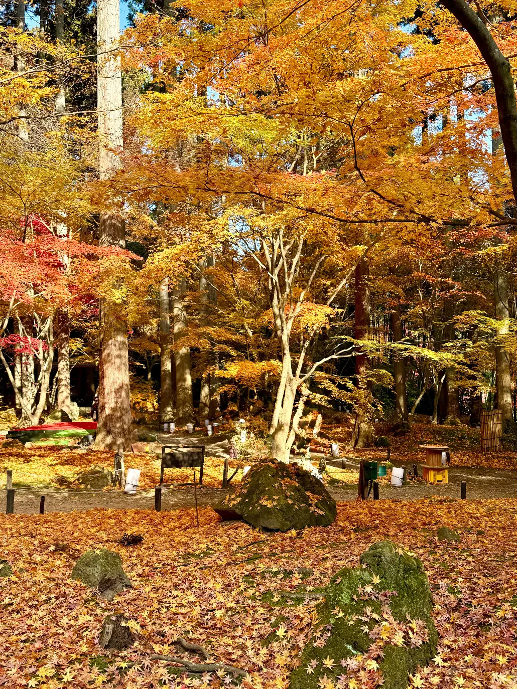 羽織るだけで見た目も気分も華やぐ♪ストールコーディネートで秋のお出かけ_1_20