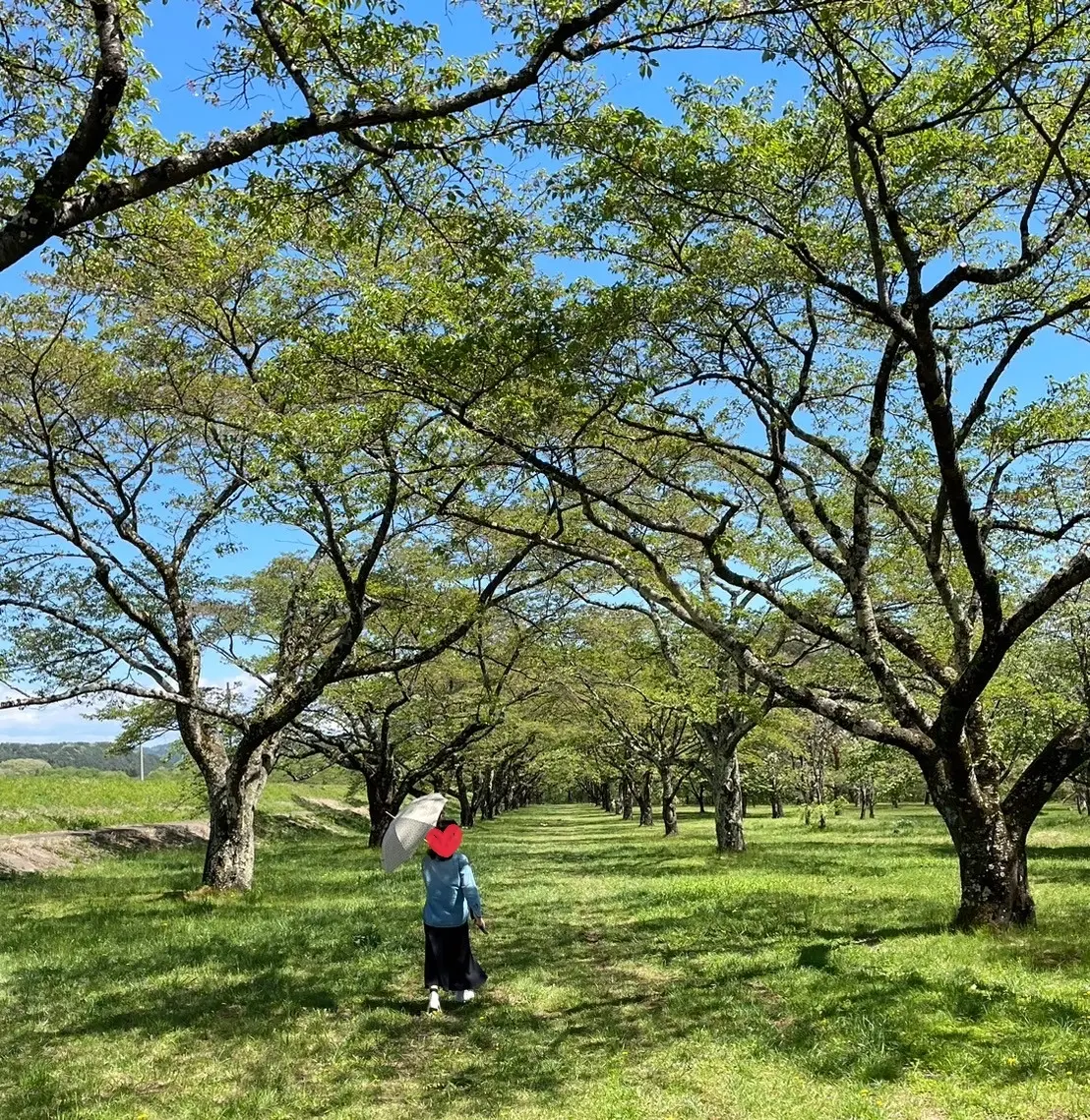 雫石川園地