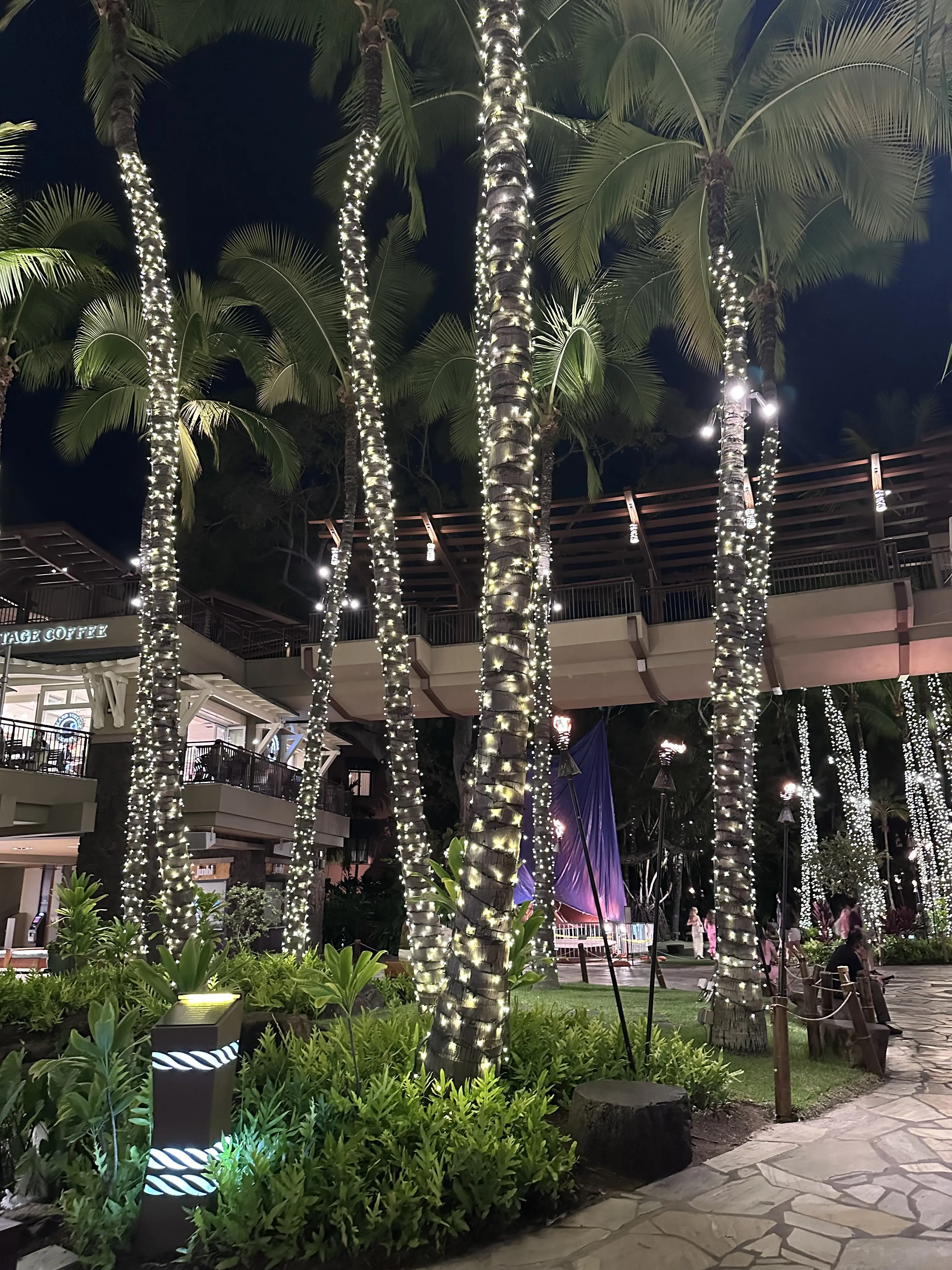 Hawaii ホテルを移動して_1_20