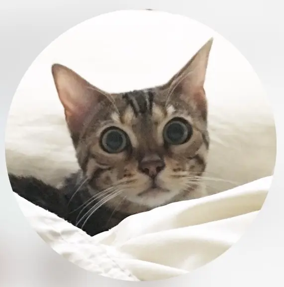 【アラフィフミディアムヘア】この冬は・・ニュアンス毛先＆艶っと束感！_1_1