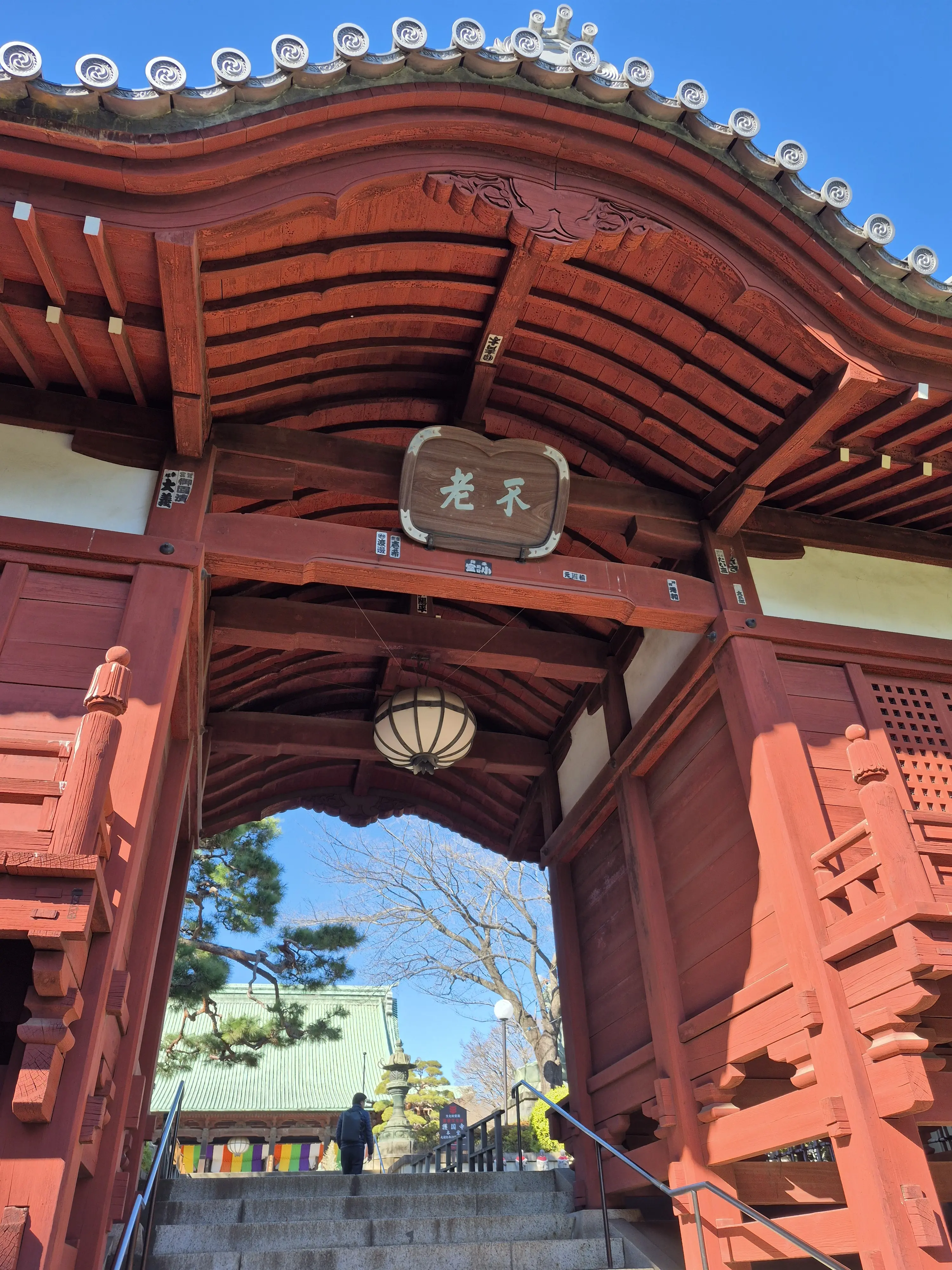 2026年【初詣レポ】護国寺のパワースポット&amp;グルメ_1_4