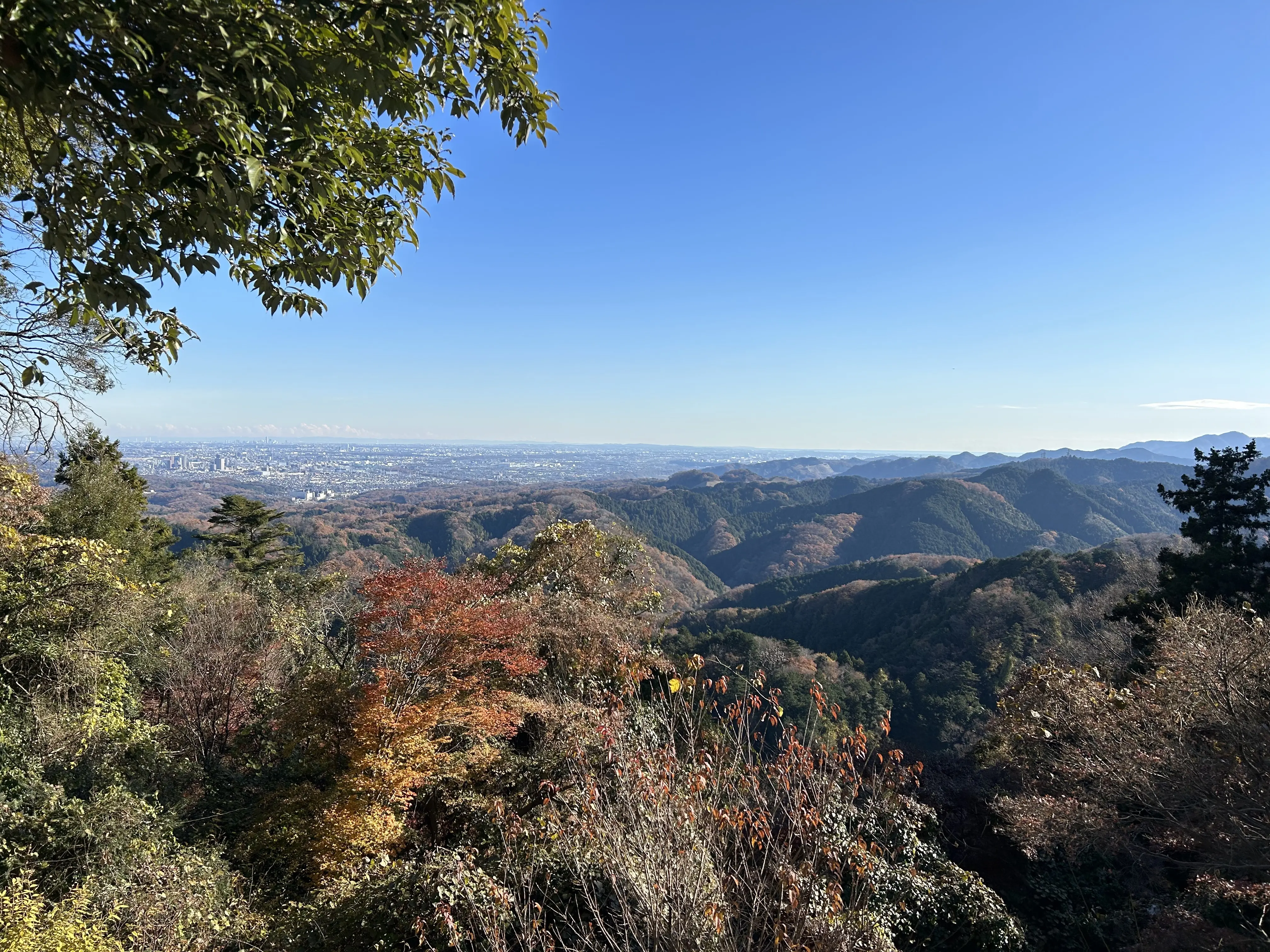 世界一の登山者数を誇る「高尾山」登山☆_1_11