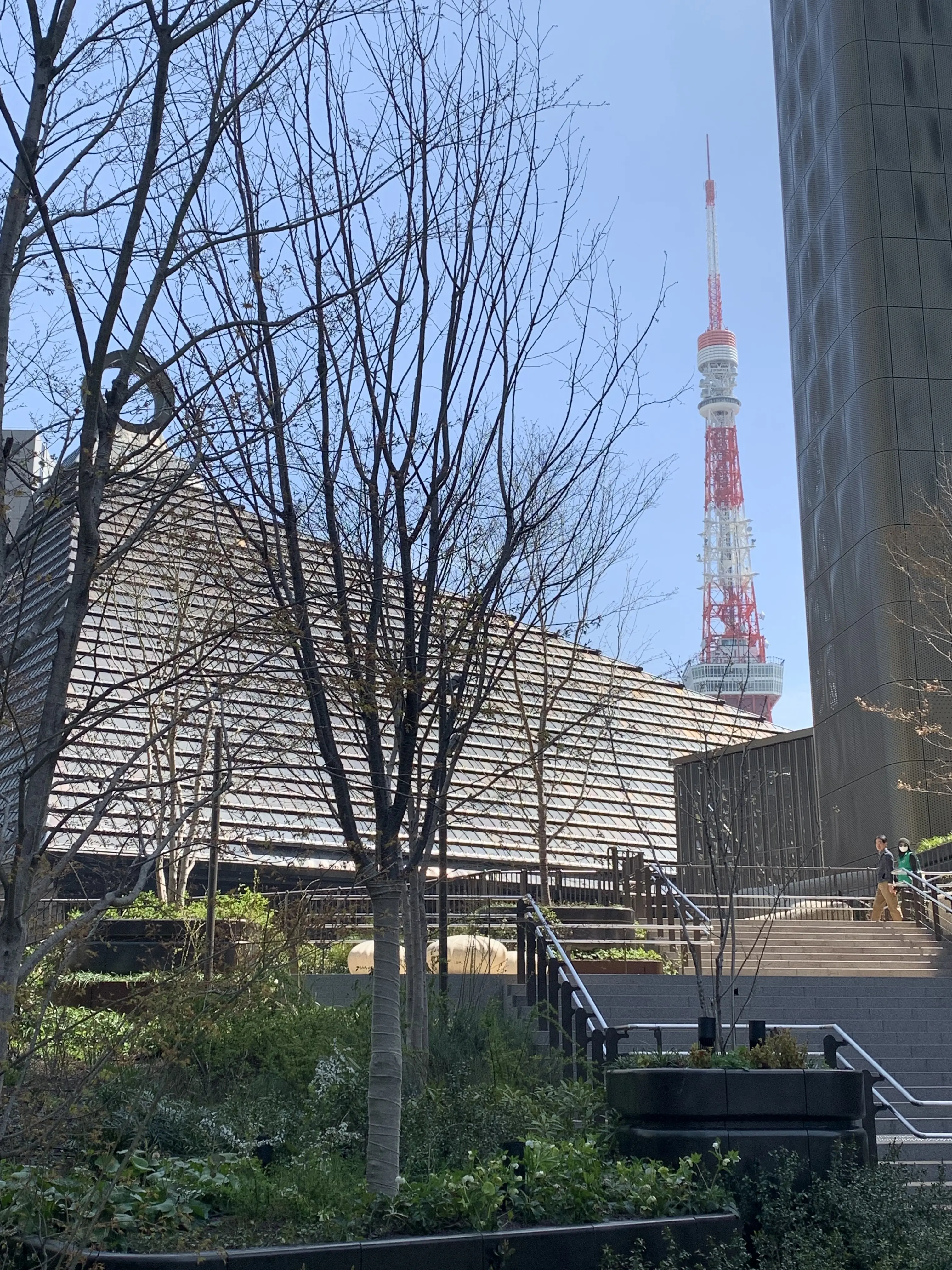 麻布台ヒルズの隙間から見える東京タワー