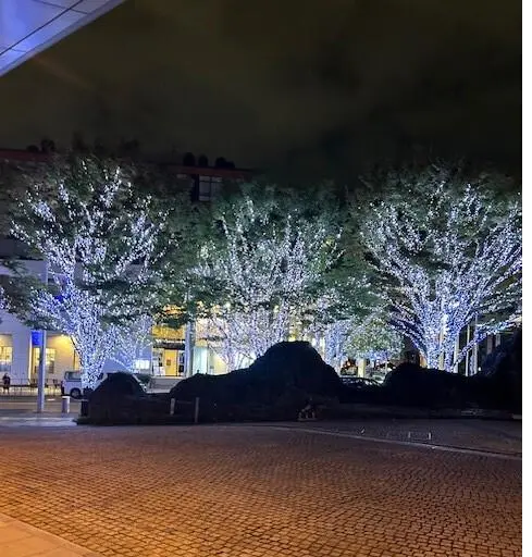 グランドハイアット東京のクリスマスツリー