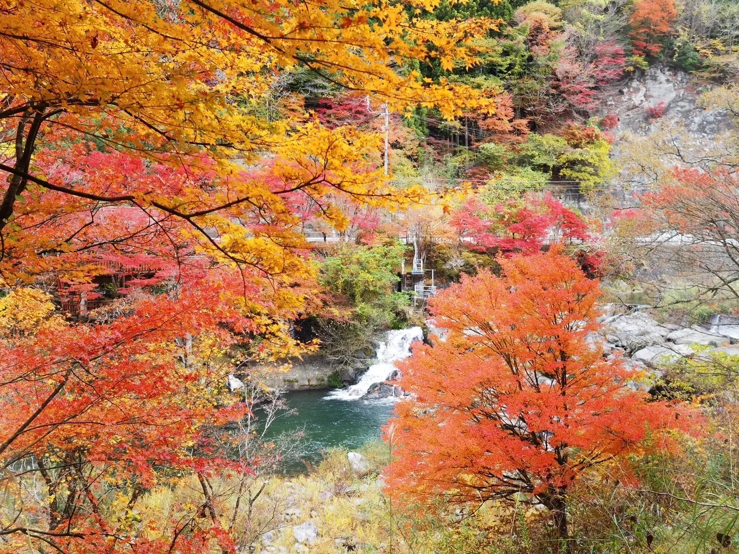 大井平公園/「井の淵」