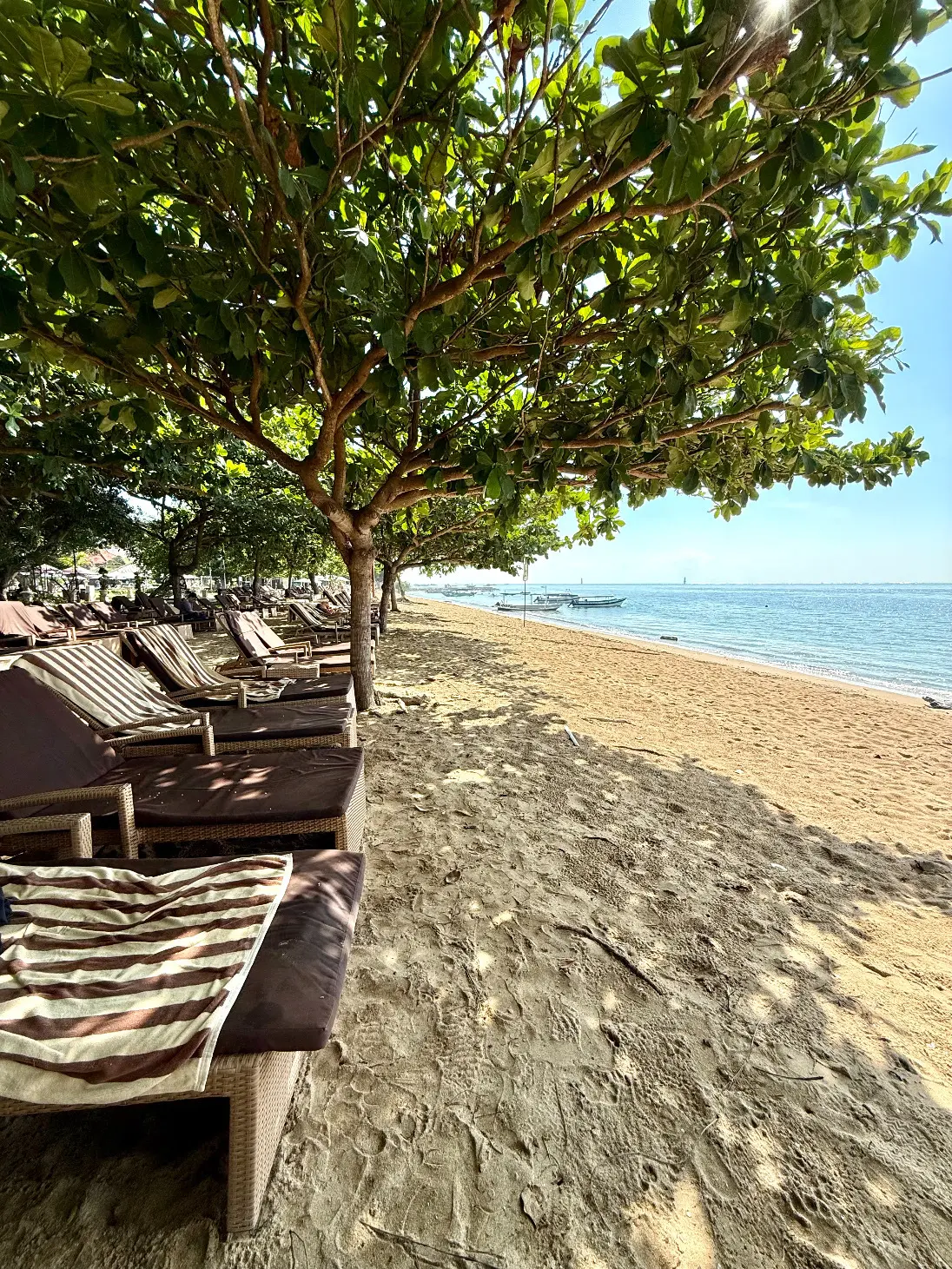 【50代夫婦旅行】 大人がのんびり楽しめるビーチと街があるバリ島サヌール地区_1_43