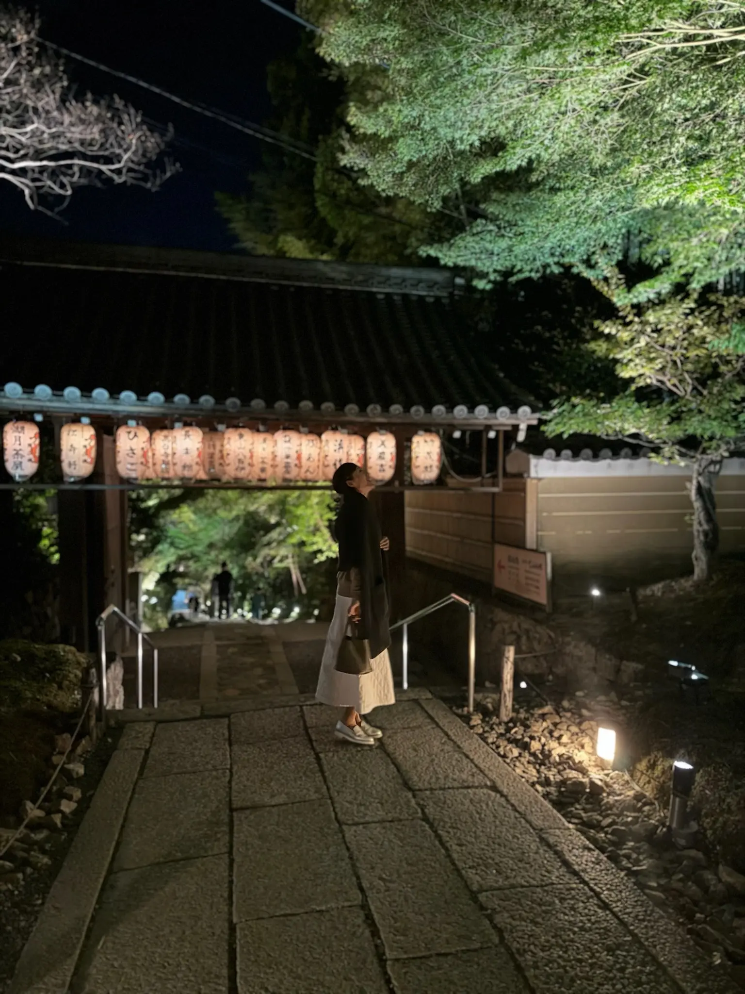 雪待月の京都旅行(前編)〜夜の石塀小路と高台寺_1_9