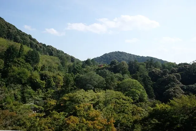 清水寺の新緑