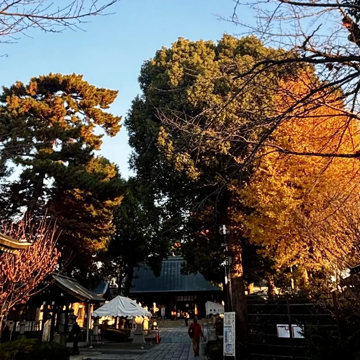 松陰神社の紅葉