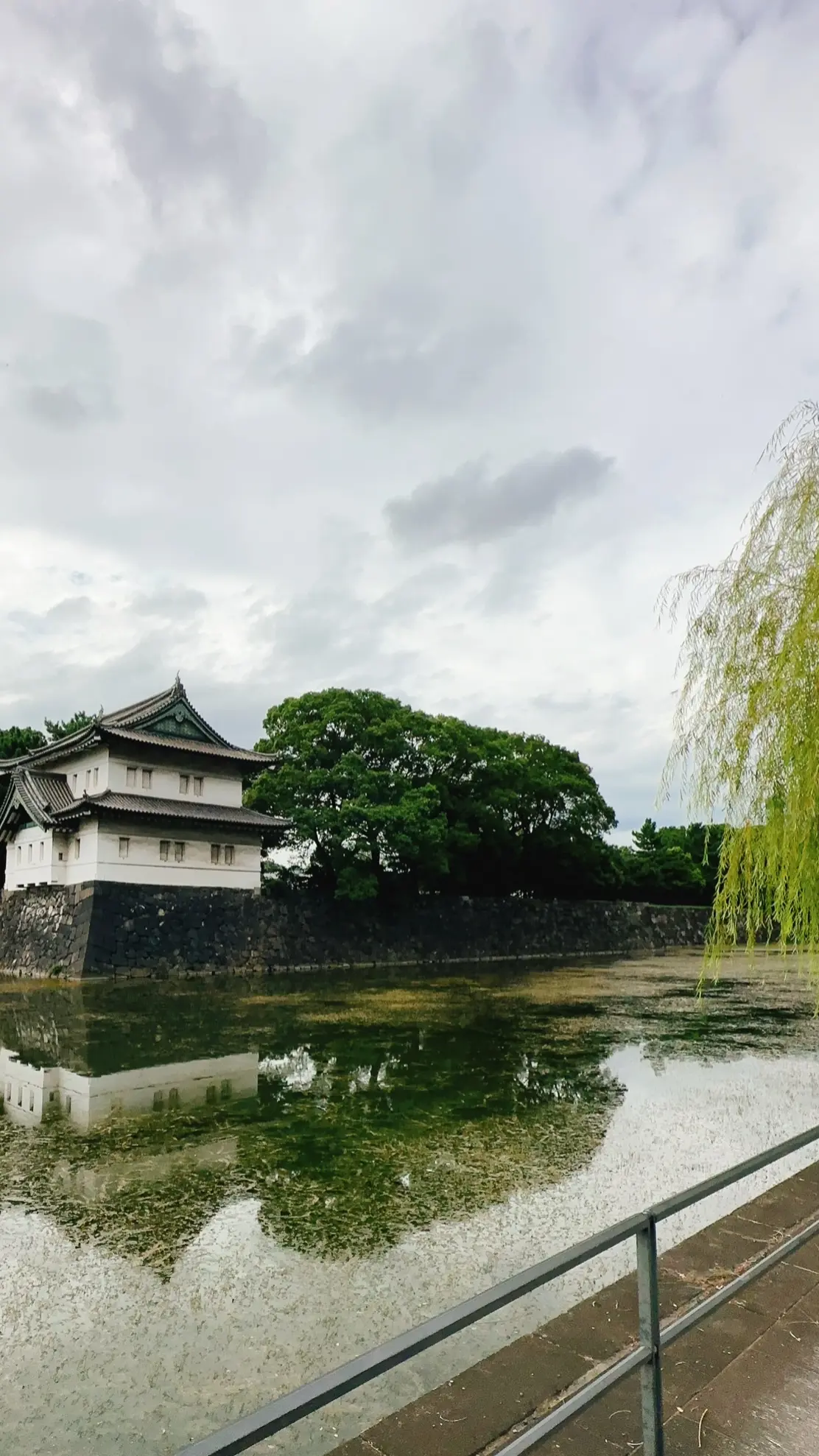 皇居のお濠