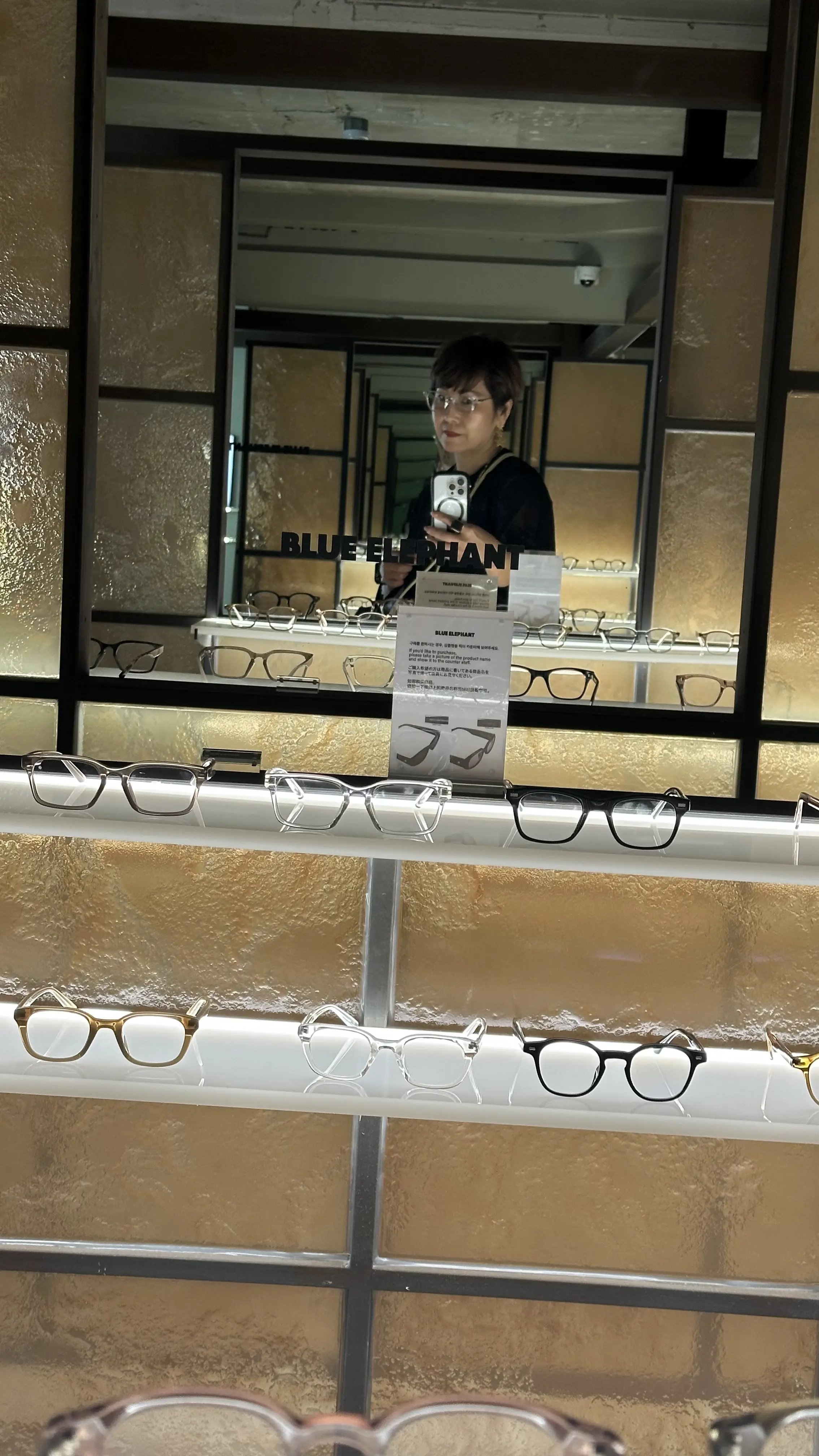 韓国初！一押しサングラスBlueel ephant_1_3